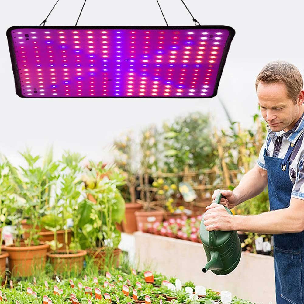 Blumen, Pflanzenlampe LEDs Spektrum und Wachsen Pflanzenleuchte licht Pflanzenlampe für Zimmerpflanzen Pflanzen Gemüse Qelus LED, 256 B Volles LED