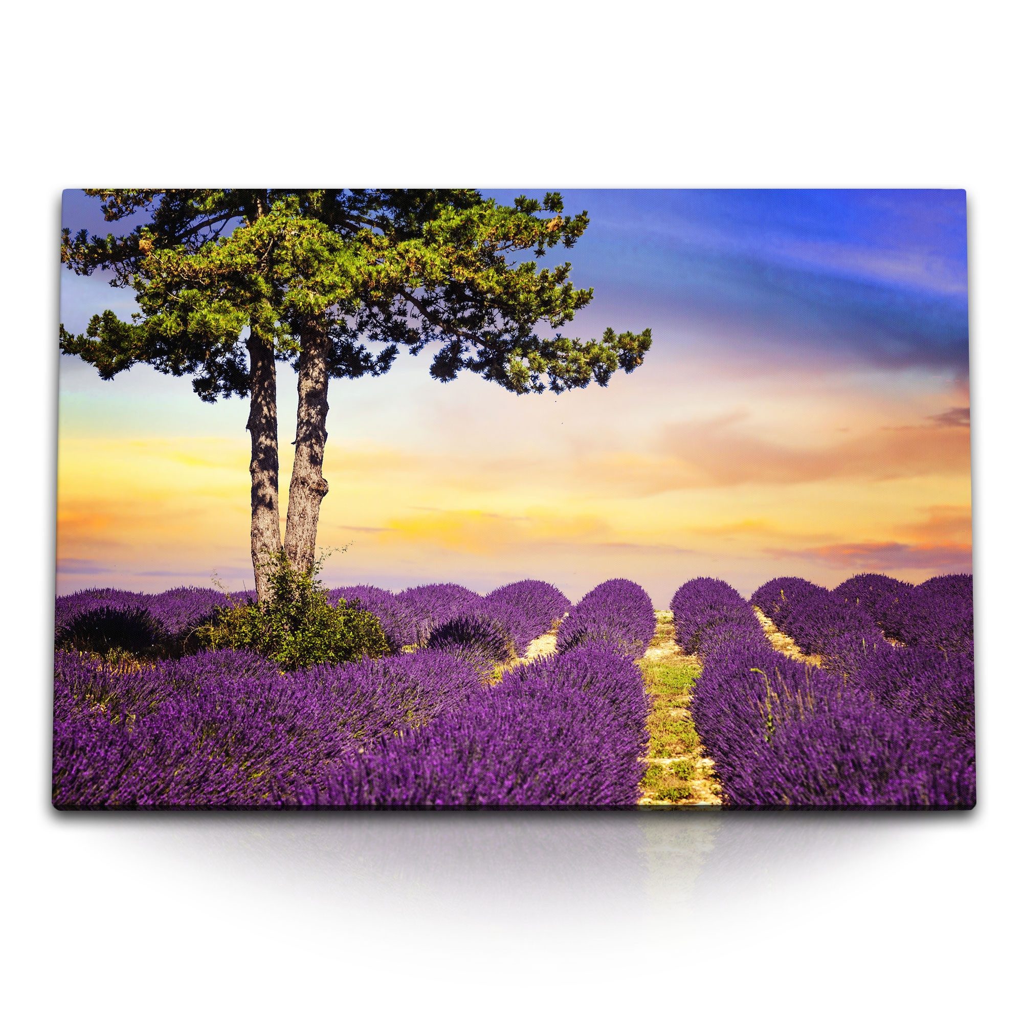 Sinus Art Leinwandbild 120x80cm Wandbild auf Leinwand Lavendel Lavendelfeld Malerisch Landsch, (1 St)