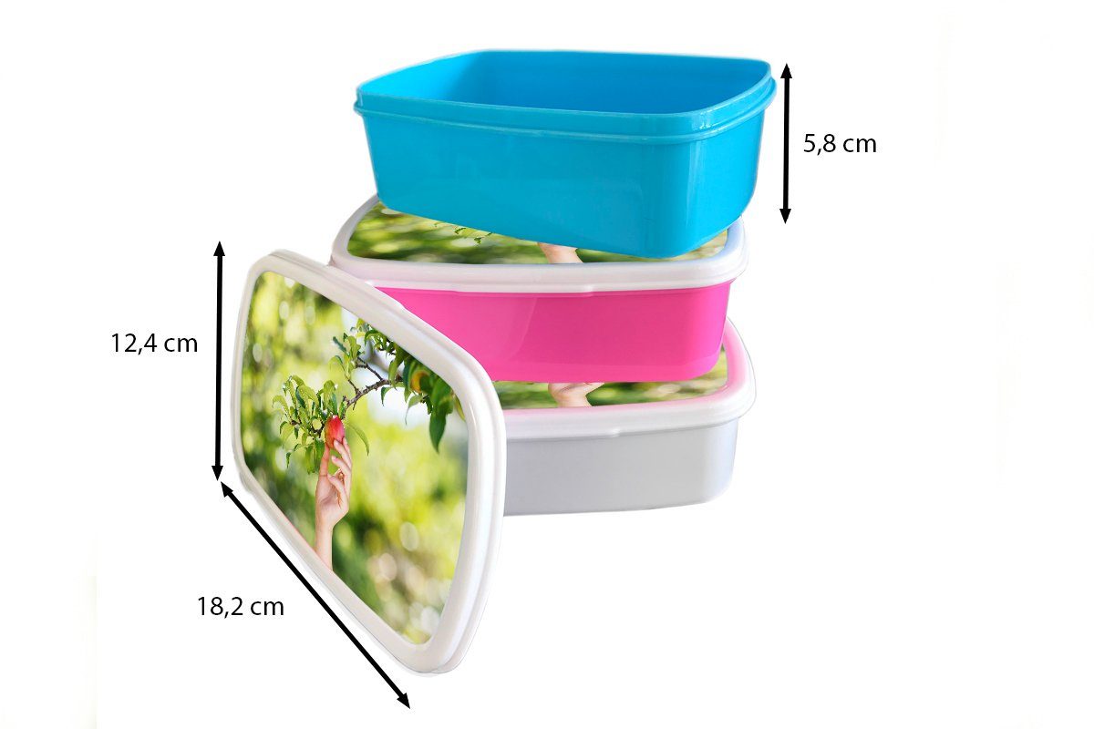 Mädchen - Kunststoff, Kinder und - (2-tlg), Obstbäume für Brotbox für weiß Lunchbox Gemüsegarten Erwachsene, Brotdose, MuchoWow Jungs und Apfel,