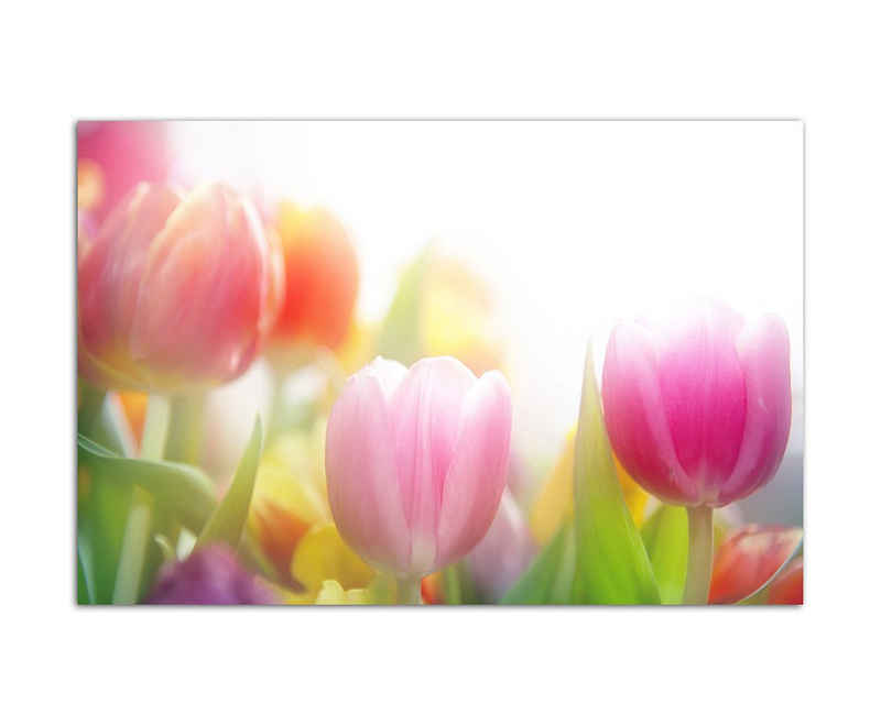 Sinus Art Leinwandbild 120x80cm Tulpen Blumen Frühling farbenfroh