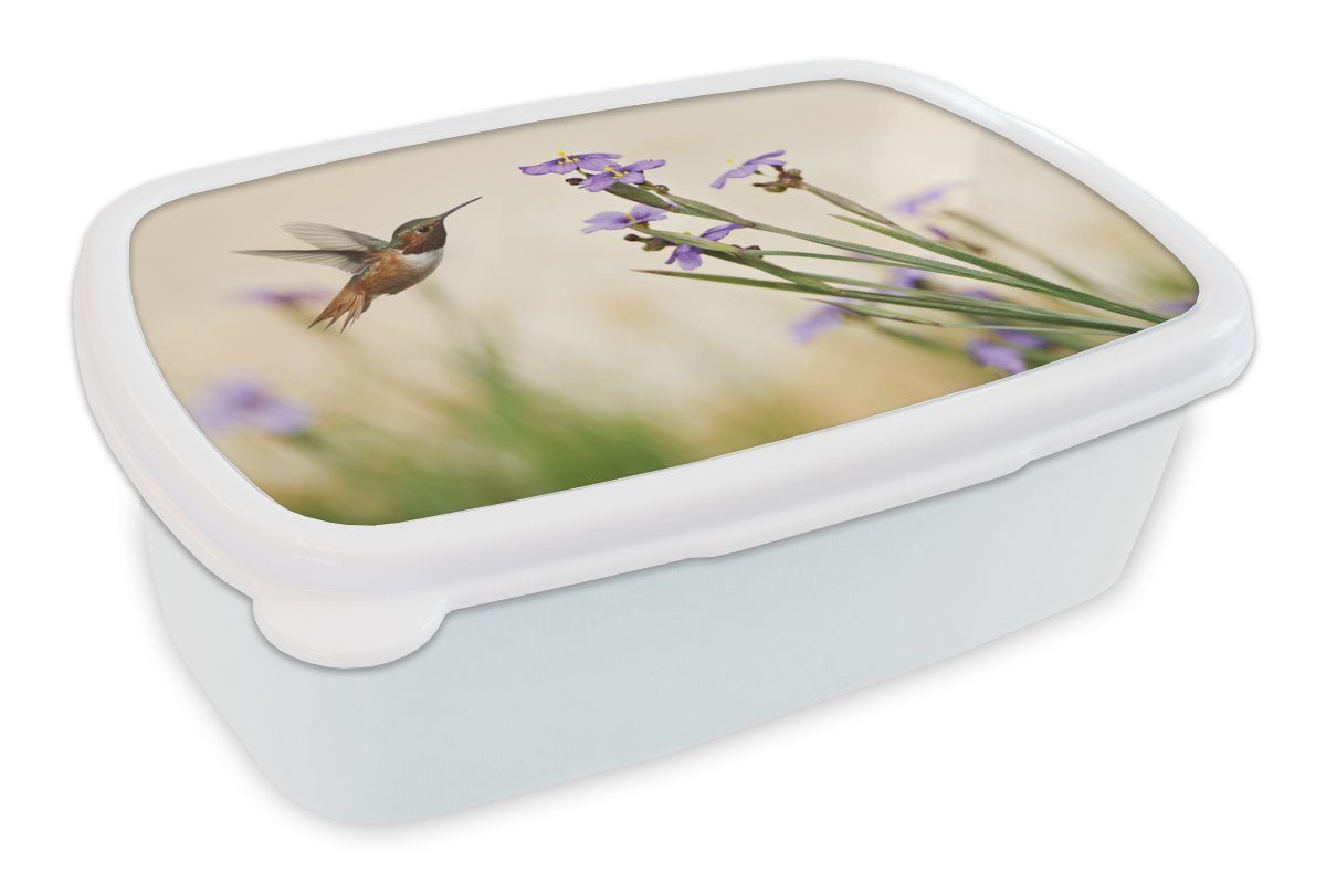 - Kolibri Erwachsene, und Mädchen Lila, - und weiß - Brotdose, Kinder für Blumen MuchoWow (2-tlg), Lunchbox für Jungs Brotbox Vogel Kunststoff,