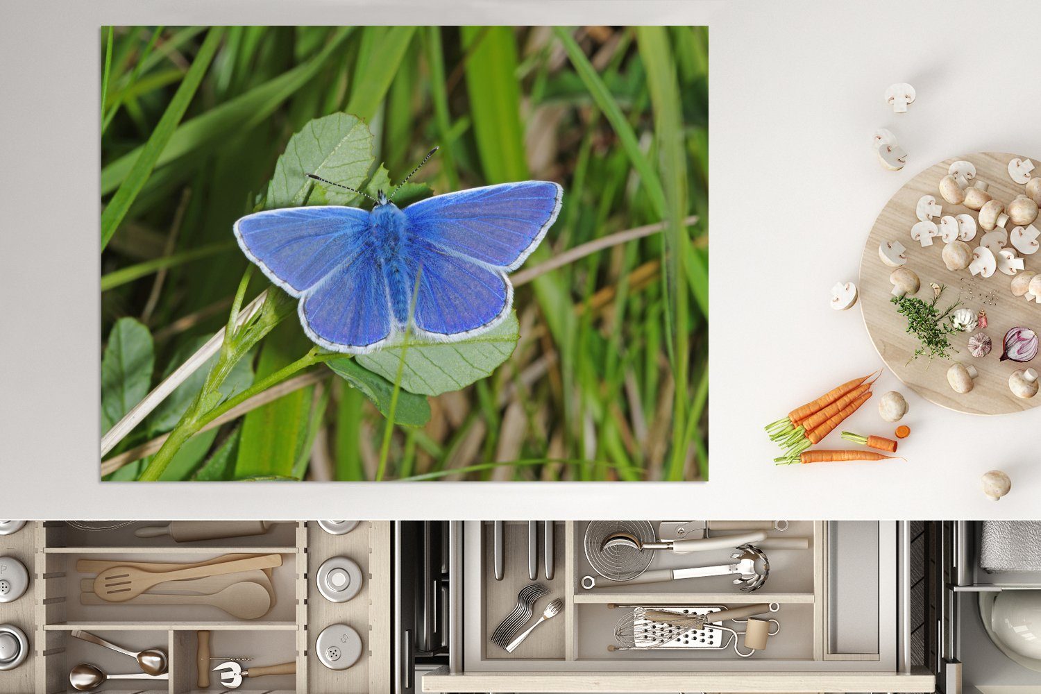 Herdblende-/Abdeckplatte Schmetterling Vinyl, tlg), 70x52 auf cm, nutzbar, (1 Mobile Arbeitsfläche Ikarusblauer Ceranfeldabdeckung MuchoWow Blättern,