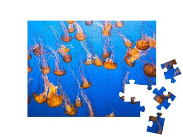 puzzleYOU Puzzle Eine Gruppe von Quallen im Wasser, 48 Puzzleteile, puzzleYOU-Kollektionen Quallen