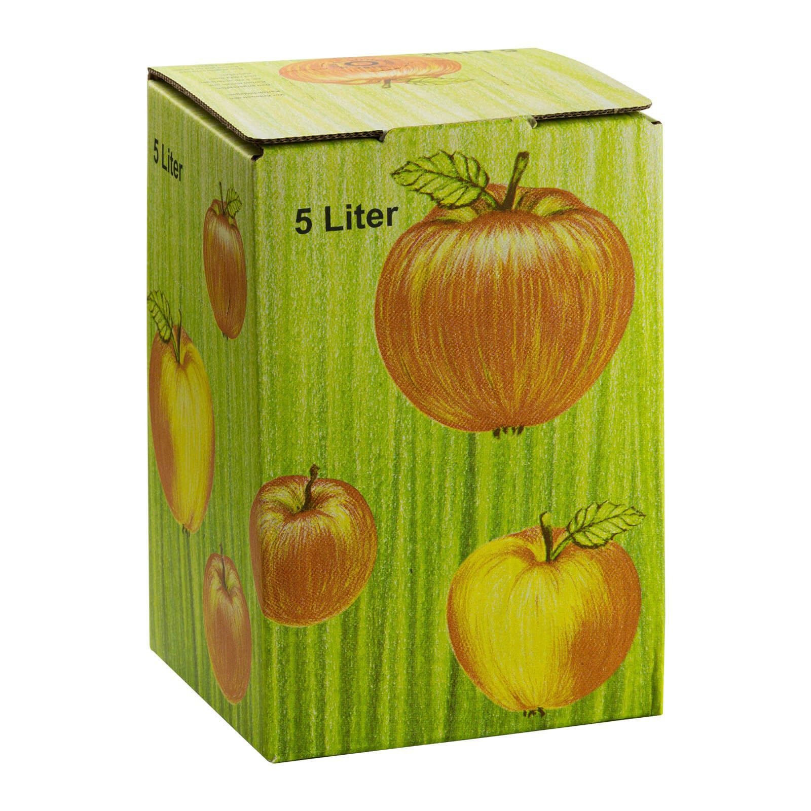 DEMA Entsafter 25x Bag in Box Karton 5L Faltkarton Apfeldekor – Bild 3 von 5