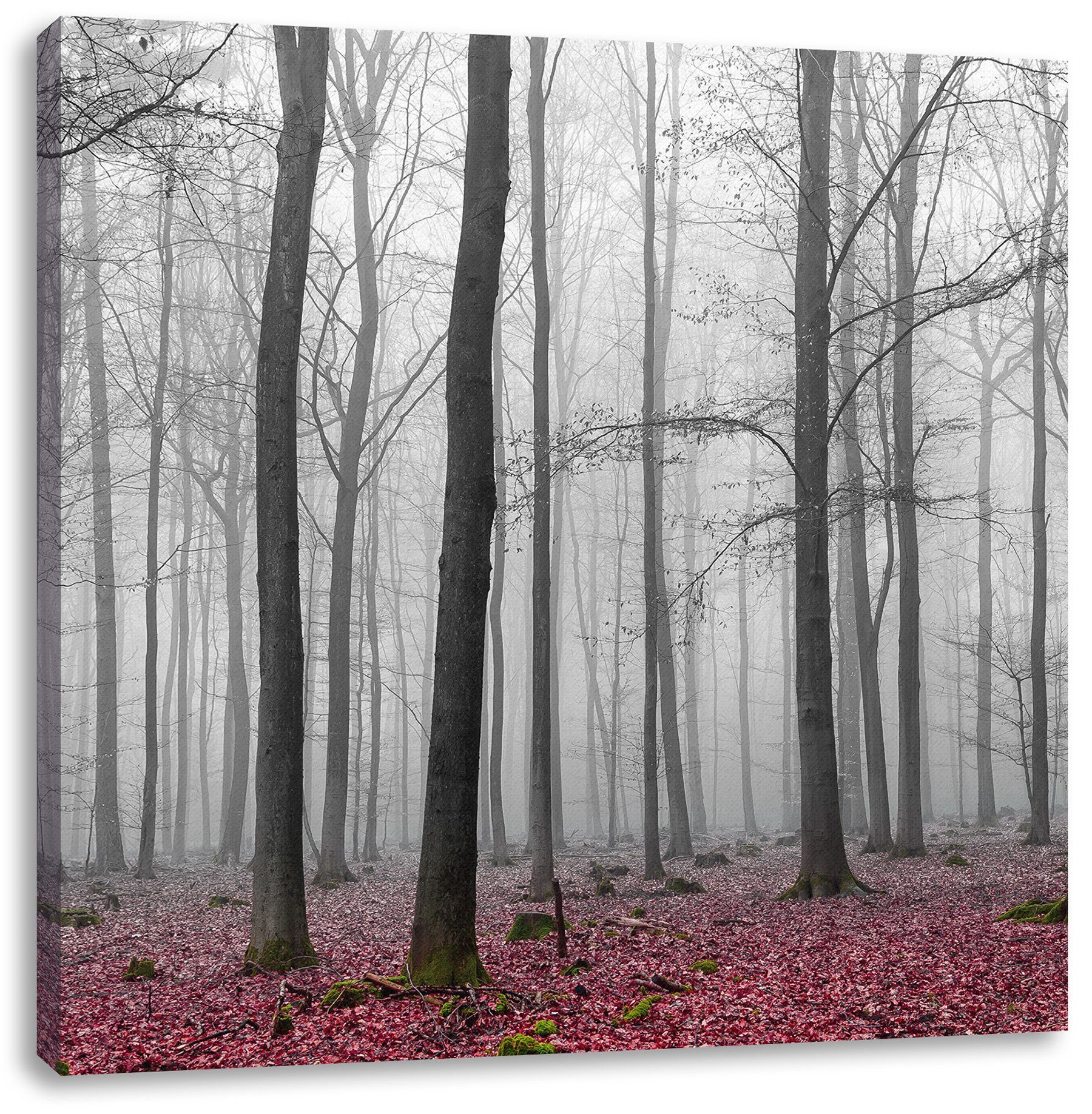 Wald fertig Leinwandbild abstrakter (1 St), bespannt, inkl. abstrakter Wald, Leinwandbild Pixxprint Zackenaufhänger