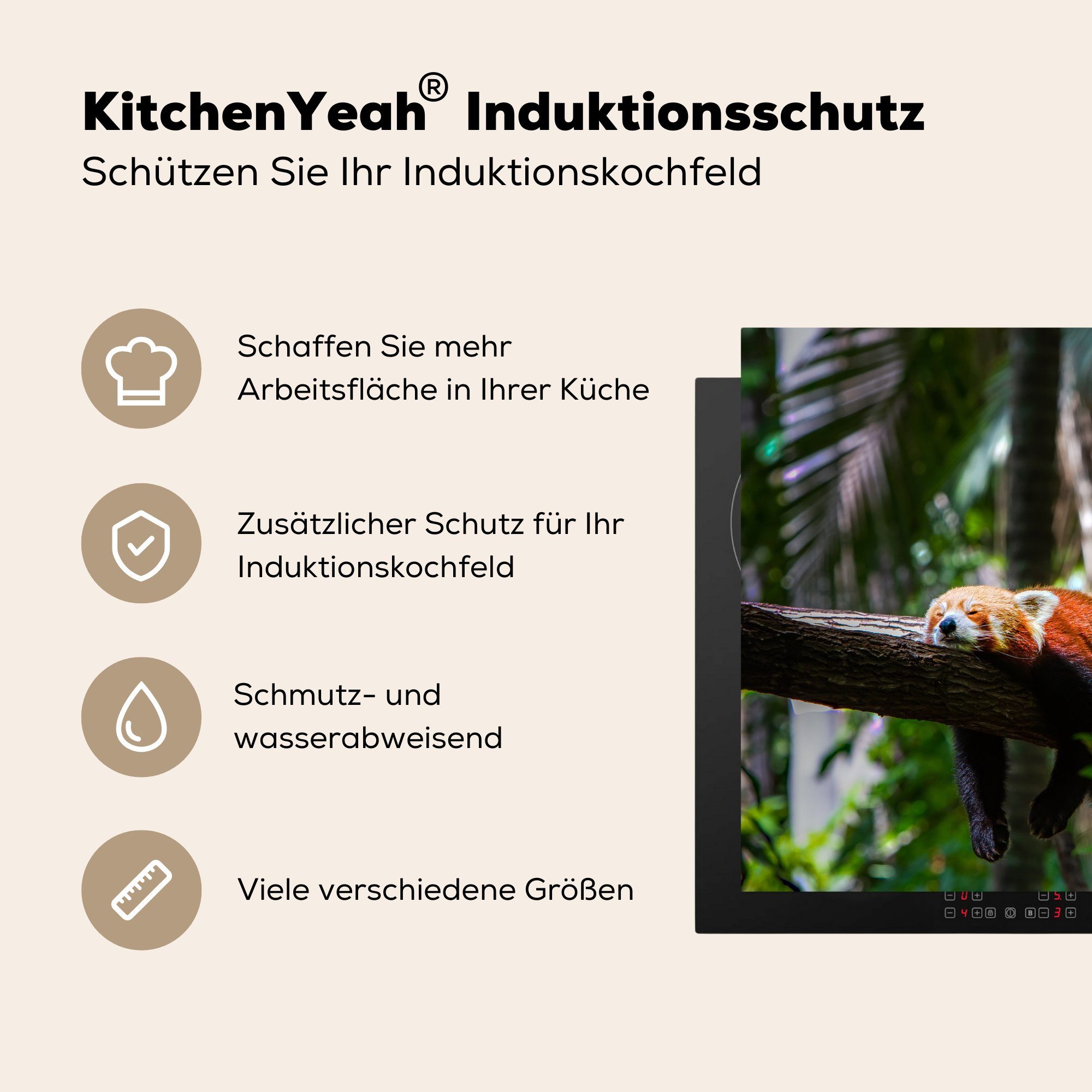 MuchoWow Herdblende-/Abdeckplatte Induktionskochfeld Schutz küche, 81x52 (1 Holz, die - Baum Ceranfeldabdeckung tlg), Panda - Vinyl, für cm