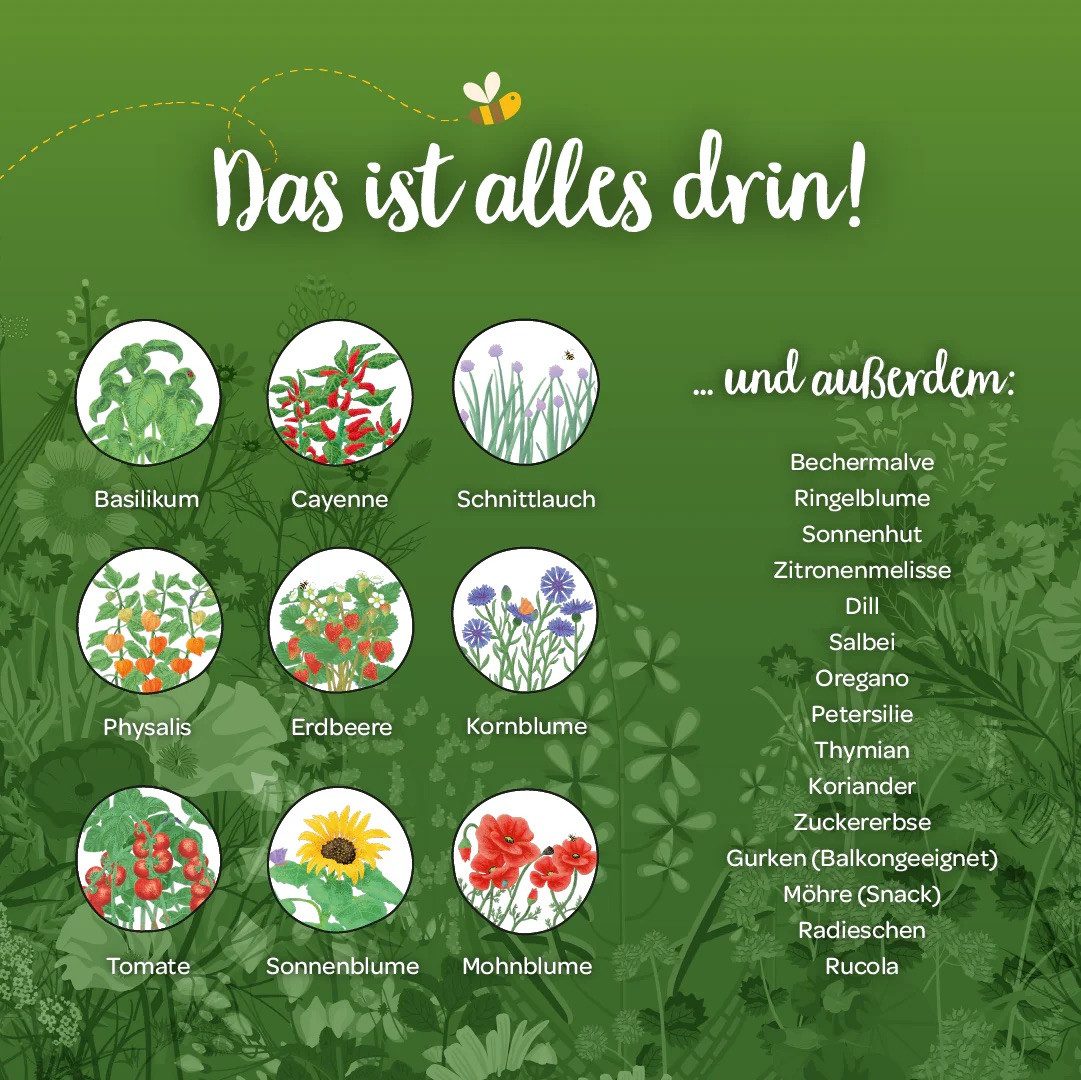 Die Stadtgärtner Adventskalender Saatgut-Adventskalender, 24 keimfreudige, interessante Sorten