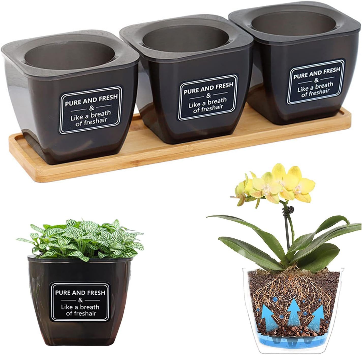 zggzerg Kräutertopf Kräutertopf Selbstbewässerung,3-Teilig Kräutertopf günstig online kaufen