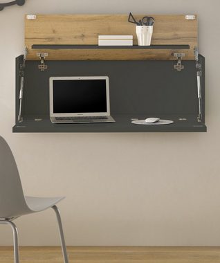 Furn.Design Wandsekretär Center (Hängeschrank in grau mit Wotan Eiche, 100 x 35 (57) cm), ausklappbar