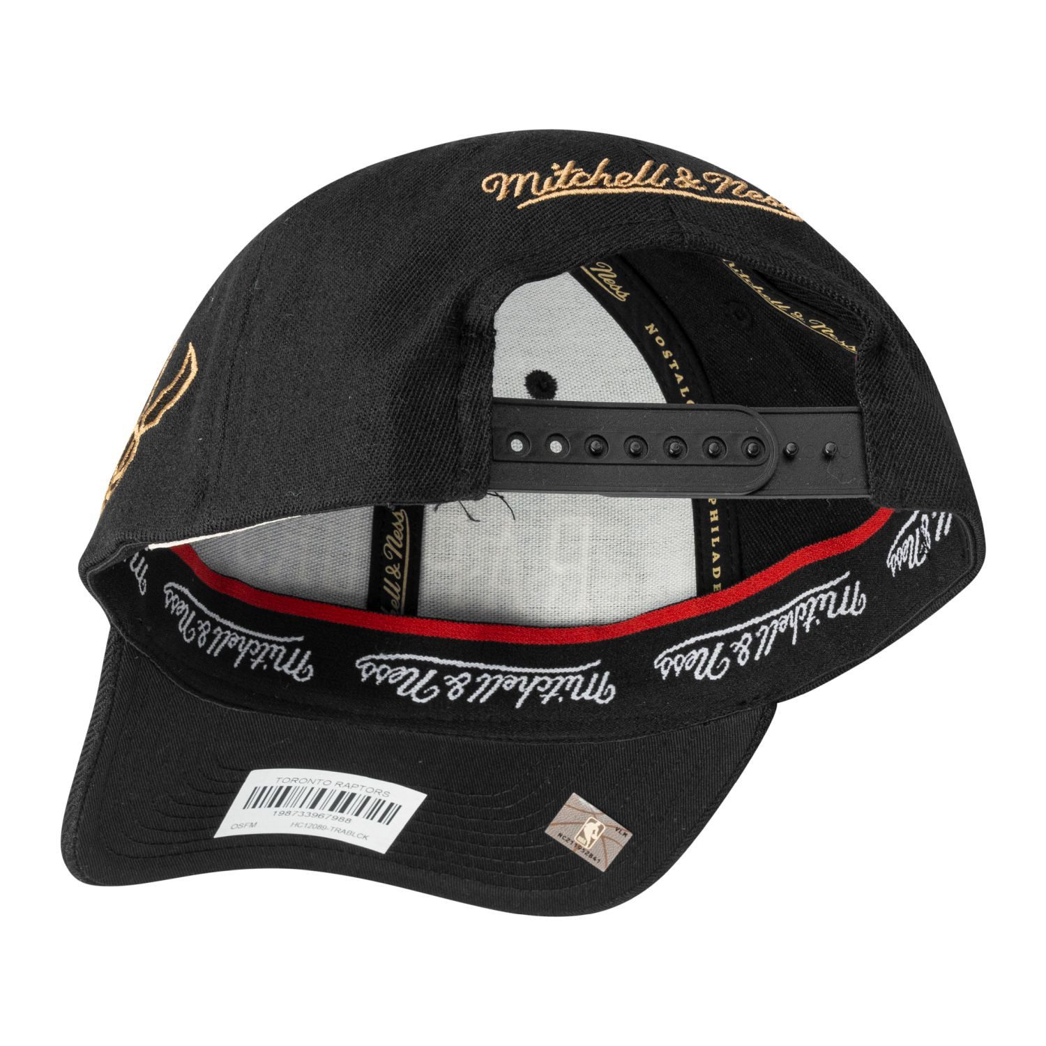 Mitchell & Ness Snapback Cap Stretch HAZE Toronto Raptors