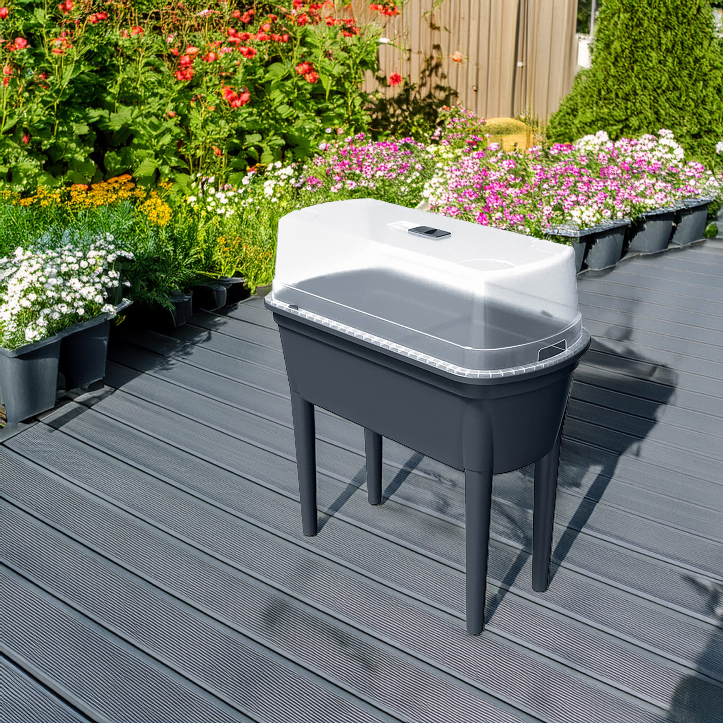 Prosperplast Gewächshaus Anzucht-Hochbeet mit Abdeckung aus Kunststoff – ca. 78 × 38 × 82 cm