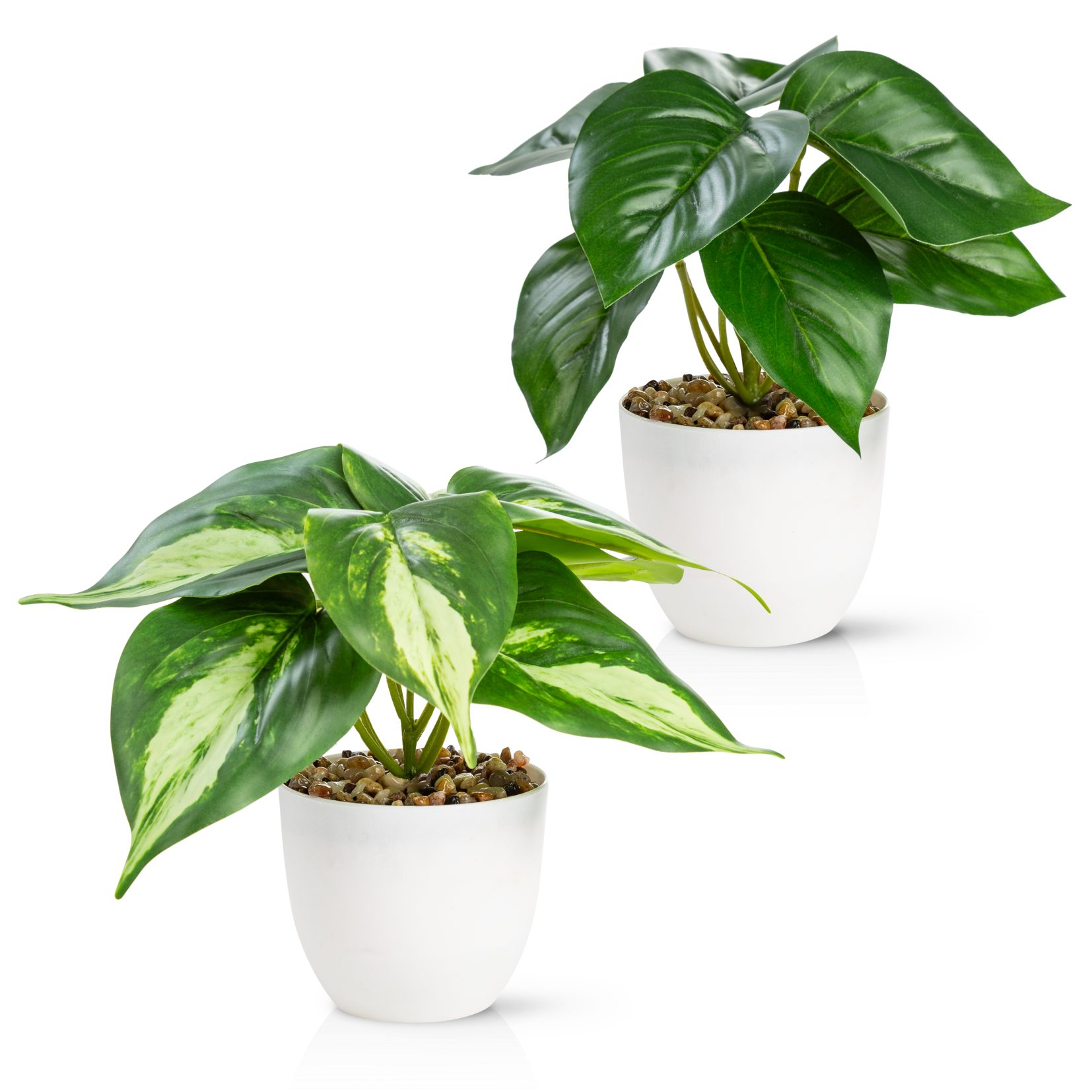 Künstliche Zimmerpflanze Kleine Kunstpflanzen & Künstliche Sukkulenten wie günstig online kaufen