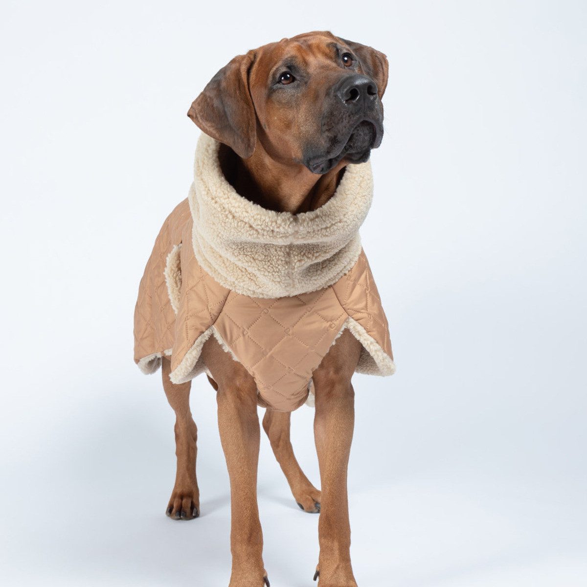 PAIKKA Hundemantel Hunde Jacke "Quilted Sherpa Jacket" camel