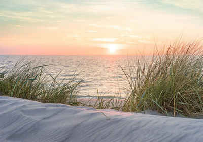 Wallarena Fototapete Strand Meer Vlies Tapete Wohnzimmer Schlafzimmer Wandtapete, Glatt Vlies, Landschaft, Tapete inklusive Kleister Vliestapete Motivtapete