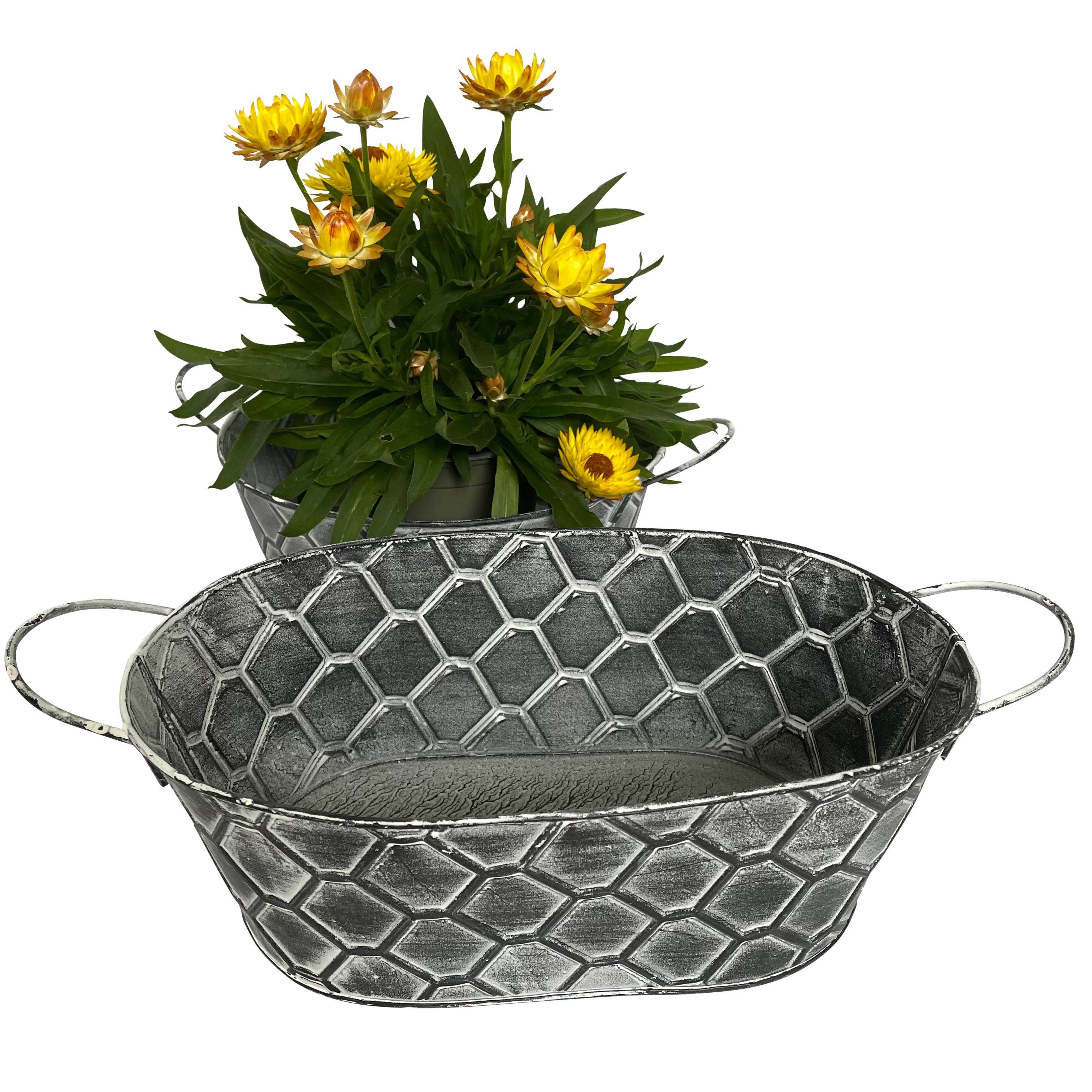 Online-Fuchs Blumentopf 2er Set Blumenschalen aus günstig online kaufen