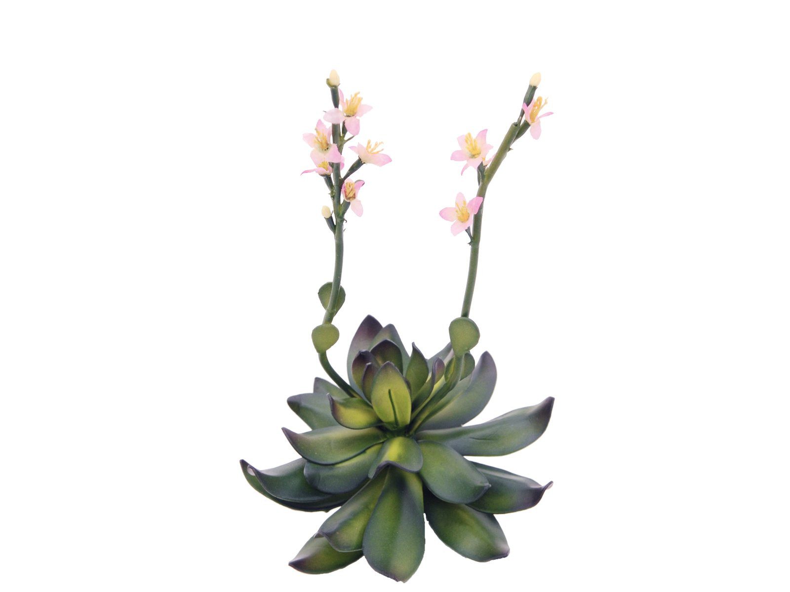 Kunstpflanze EUROPALMS Steinrose (EVA), Kunstpflanze, pink, 32cm