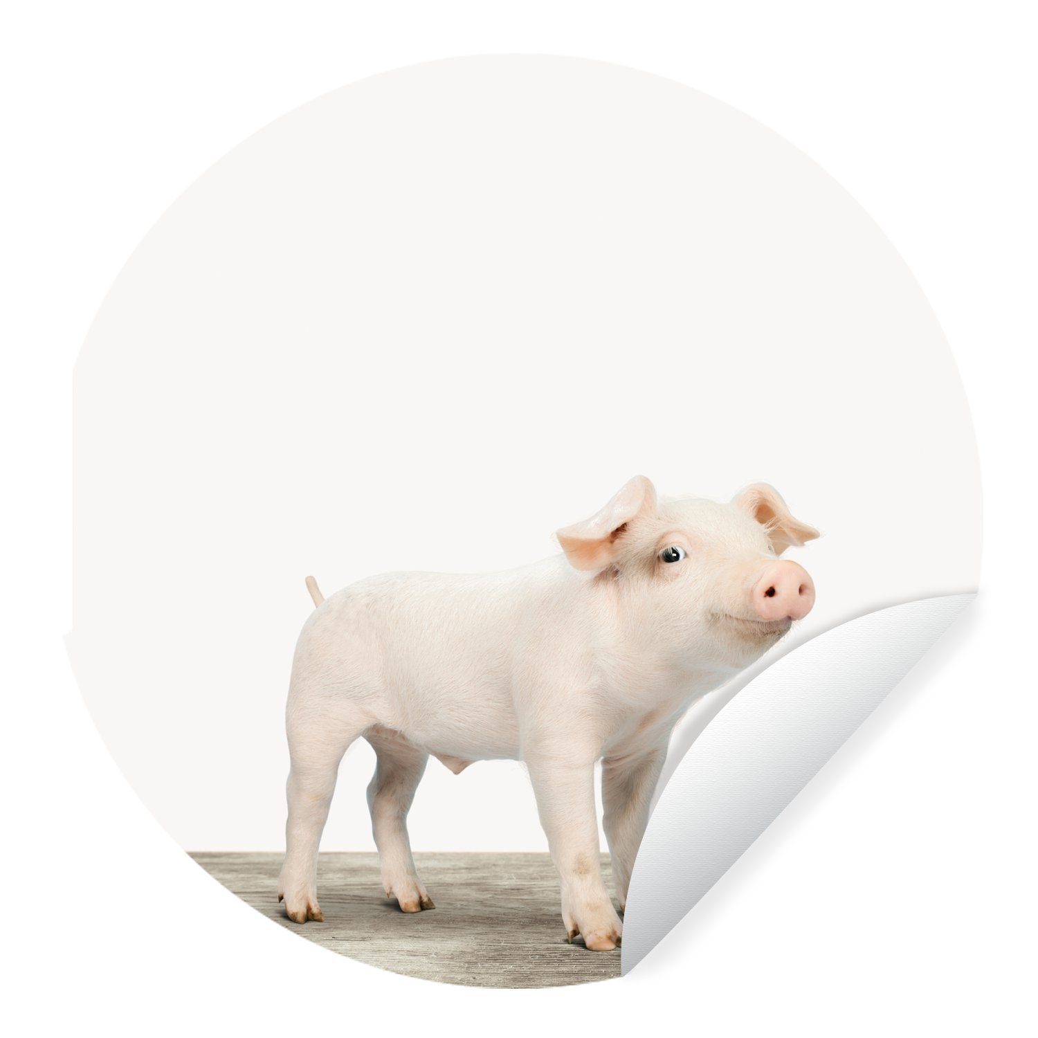 MuchoWow Wandsticker Tiere - Schwein - Baby (1 St), Tapetenkreis für Kinderzimmer, Tapetenaufkleber, Rund, Wohnzimmer