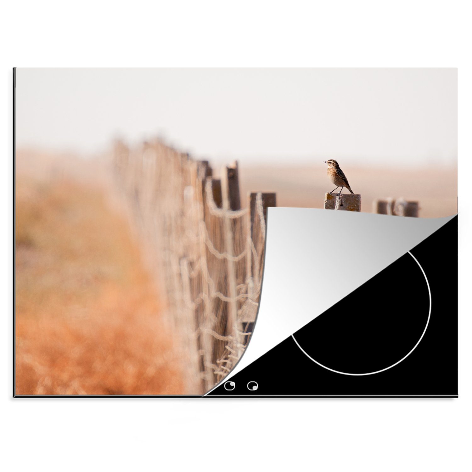 MuchoWow Herdblende-/Abdeckplatte Löffler auf einem Zaun, Vinyl, (1 tlg), 70x52 cm, Mobile Arbeitsfläche nutzbar, Ceranfeldabdeckung