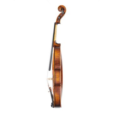 Stentor Violine, Violinen / Geigen, Akustische Violinen, 4/4 Violine Elysia - Violine
