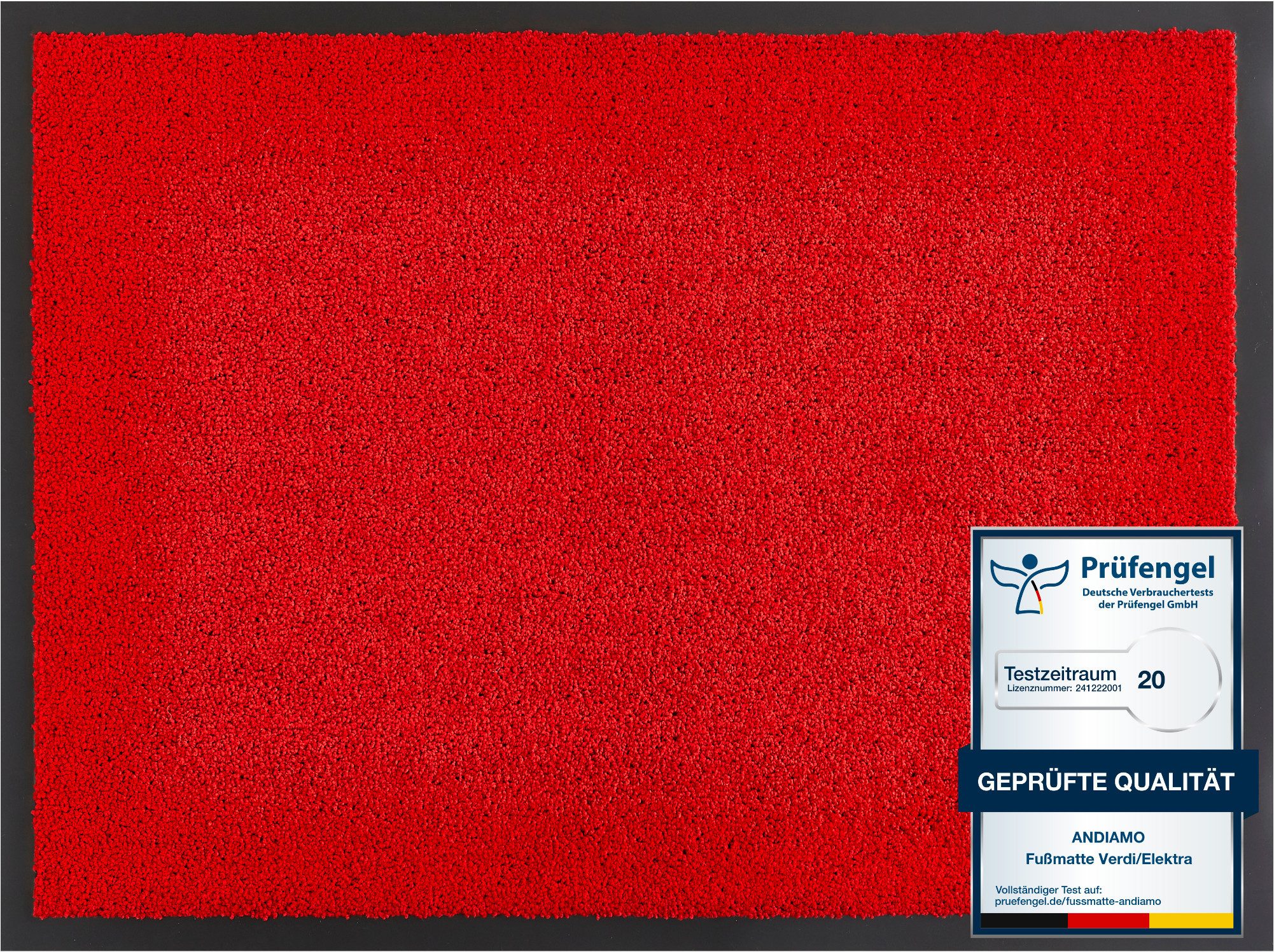 Andiamo Fußmatte Verdi, Made in Netherlands, rechteckig, Höhe: 6 mm, Schmutzfangmatte, Eingangsmatte, rutschfest, strapazierfähig