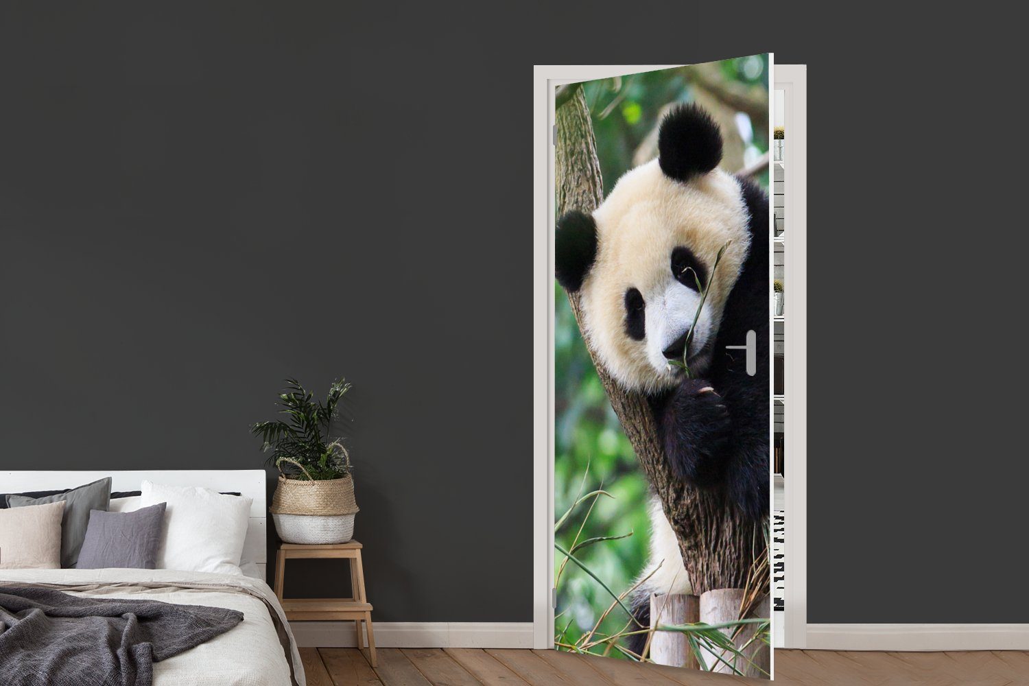 MuchoWow Türtapete Panda - Tiere für bedruckt, Tür, - Dschungel Türaufkleber, Natur, cm 75x205 Fototapete (1 St), - Matt