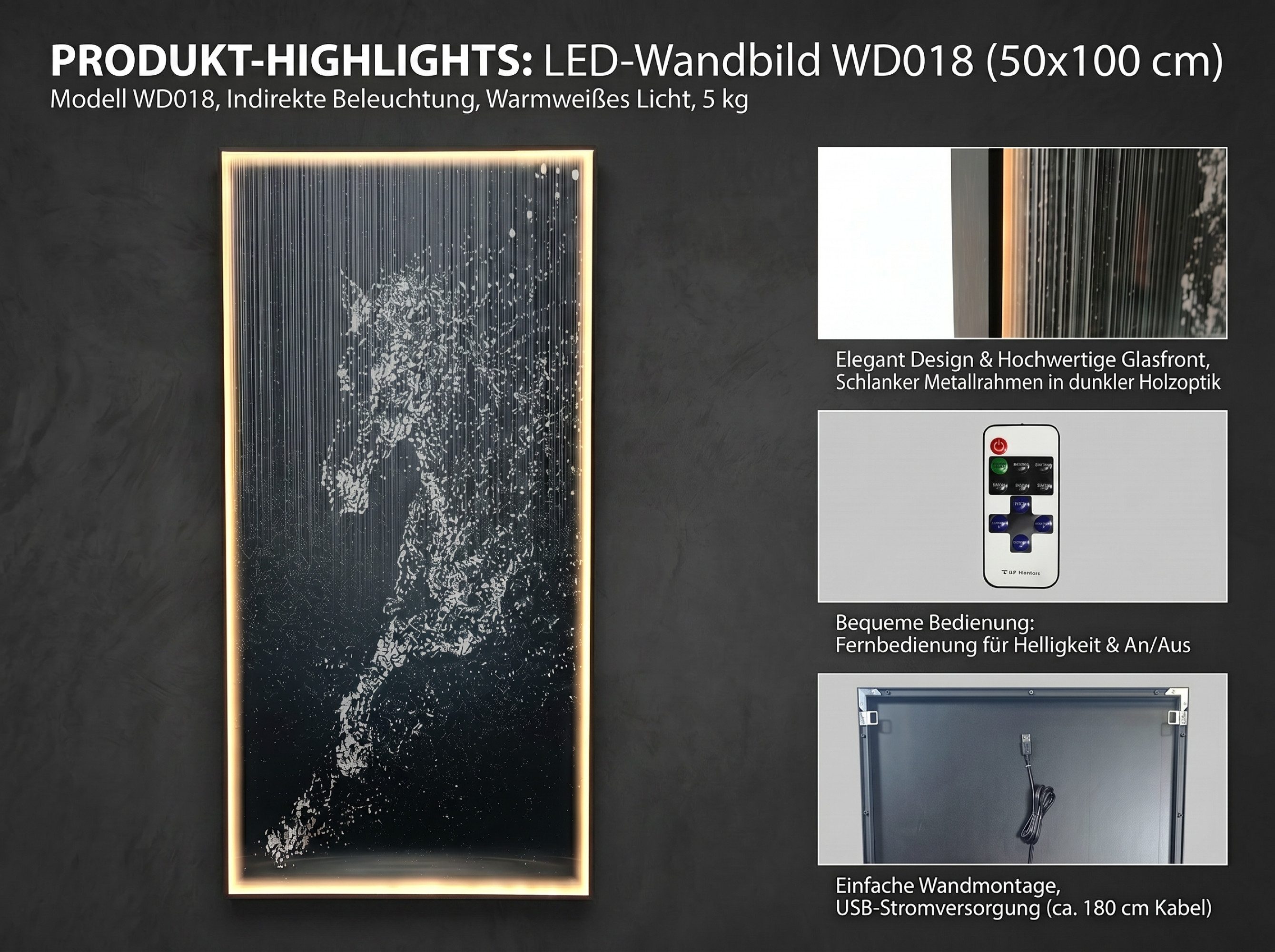 Arnusa LED-Bild beleuchtetes LED Bild Pferd Glas warmweiß Fernbedienung 100x50cm, Pferd, moderne Wandbeleuchtung abstrakt