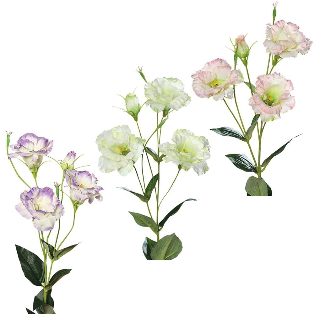 Blüten Knospe 83 Eustoma & cm cm Lysianthus matches21 Kunstblume weiß-grün HOBBY, Eustoma, Höhe 83 HOME Kunstblume