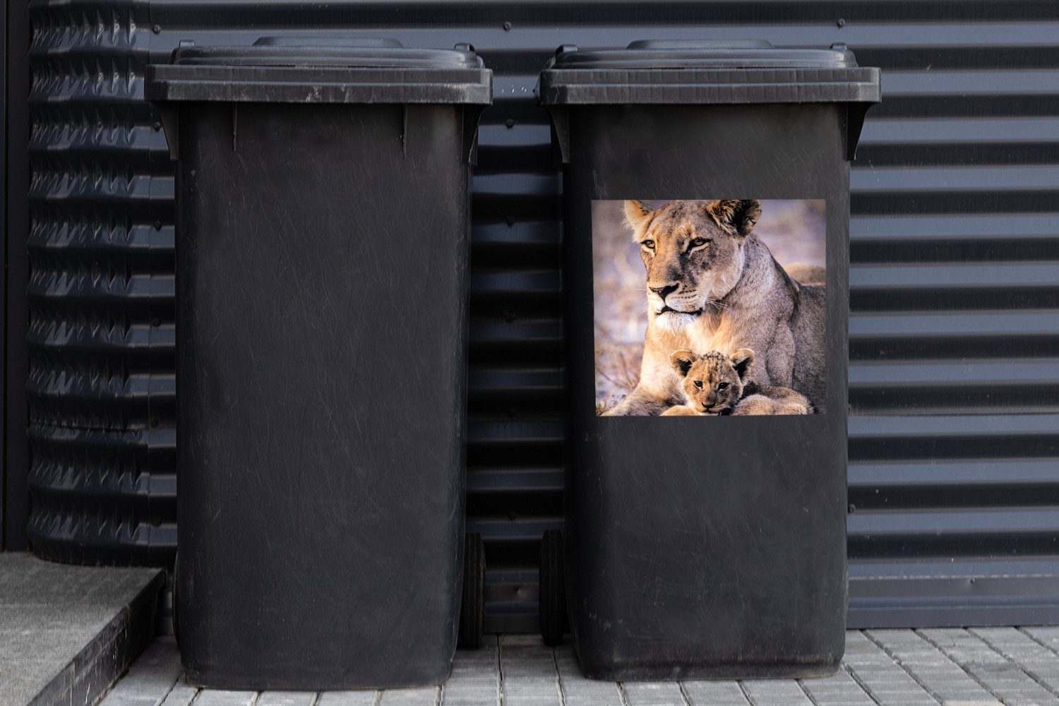 MuchoWow Wandsticker - Junges Löwe Sticker, Mülltonne, (1 - Mülleimer-aufkleber, Abfalbehälter St), Container, Löwin