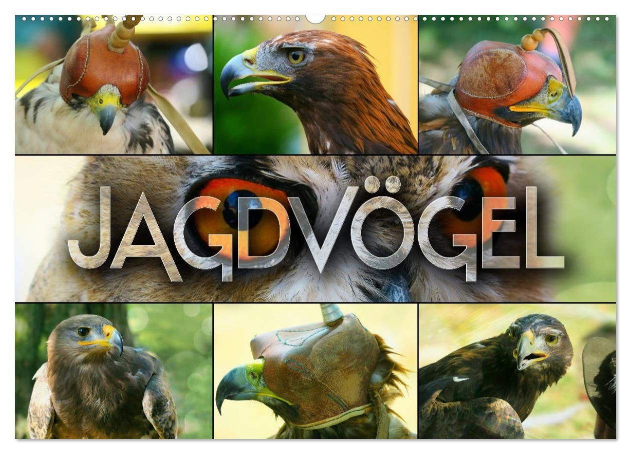 CALVENDO Wandkalender Jagdvögel (Wandkalender 2025 DIN A2 quer), CALVENDO Monatskalender
