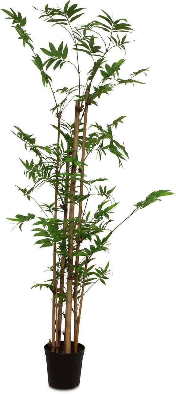Kunstblume Kunstpflanze Bamboo, fleur ami