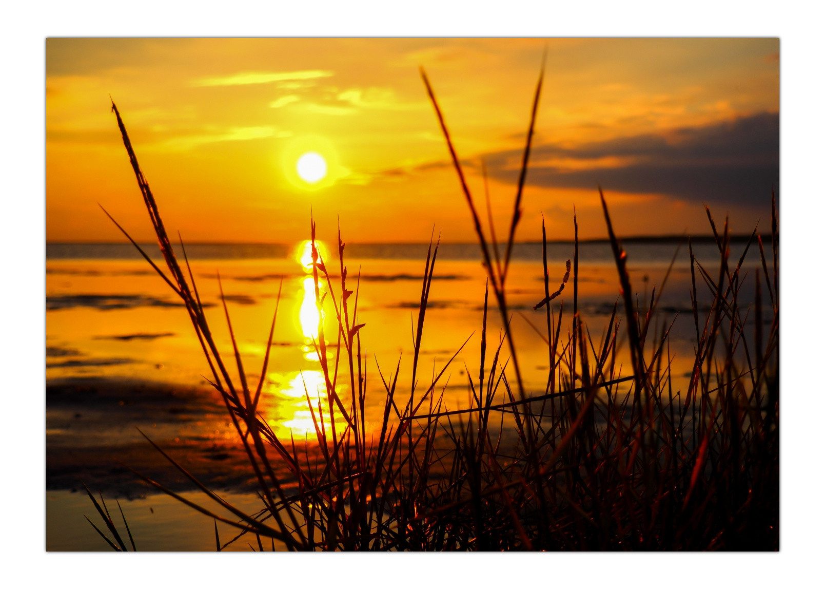 LYSCO Poster XXL Plakat Meer, Strand, günstig online kaufen