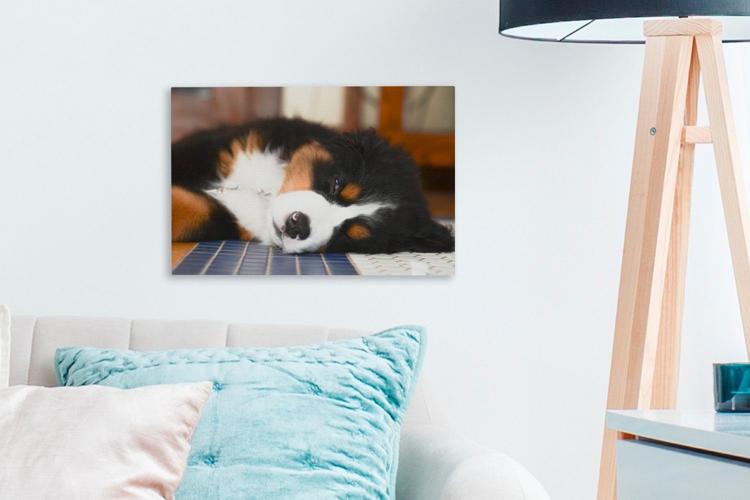 Wandbild schläft Wanddeko, OneMillionCanvasses® Berner (1 cm Leinwandbild Sennenhund Liebenswerter 30x20 St), Leinwandbilder, Aufhängefertig, ein,