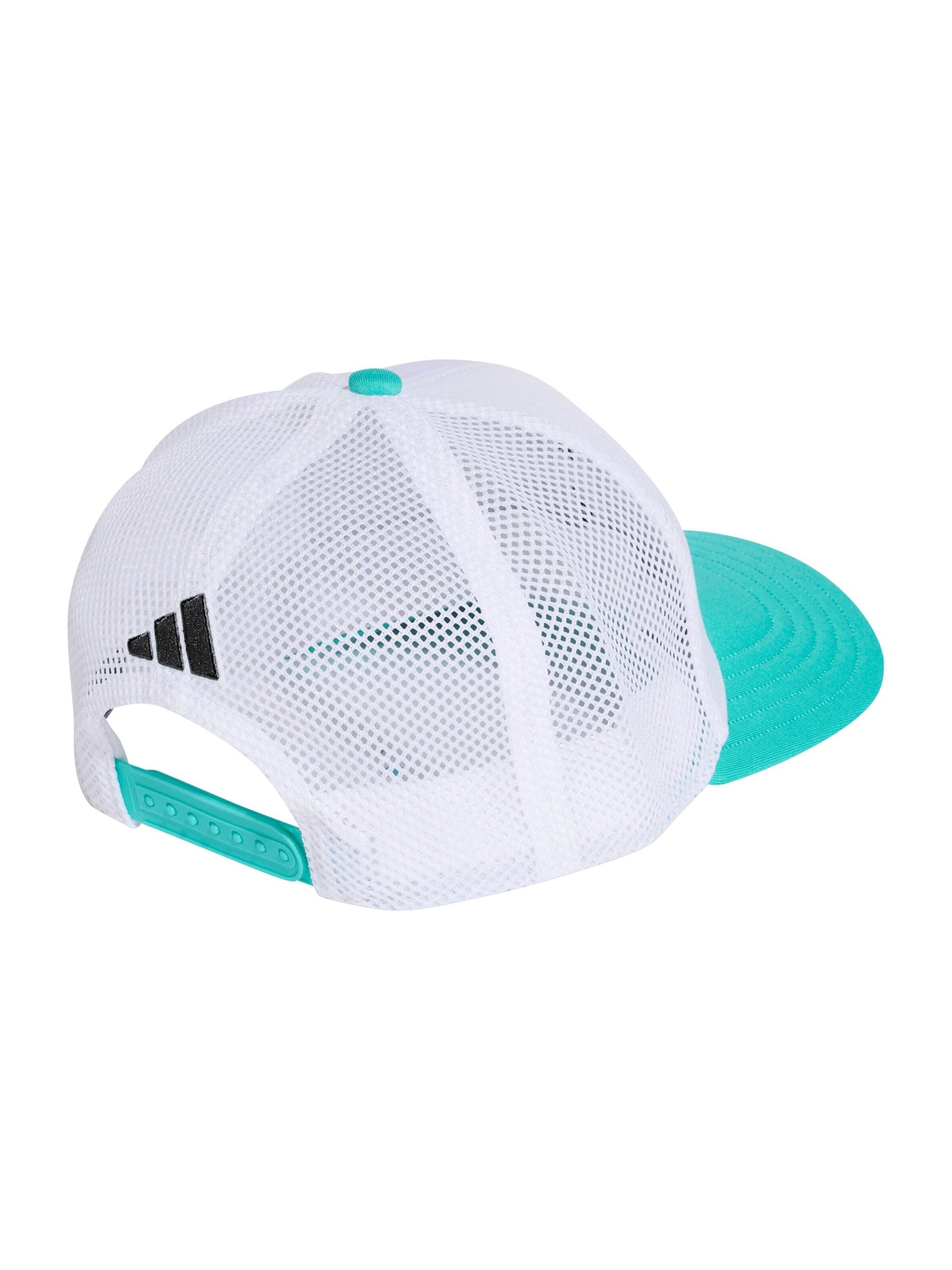 adidas Sportswear Flex Cap MER DNA (1-St)