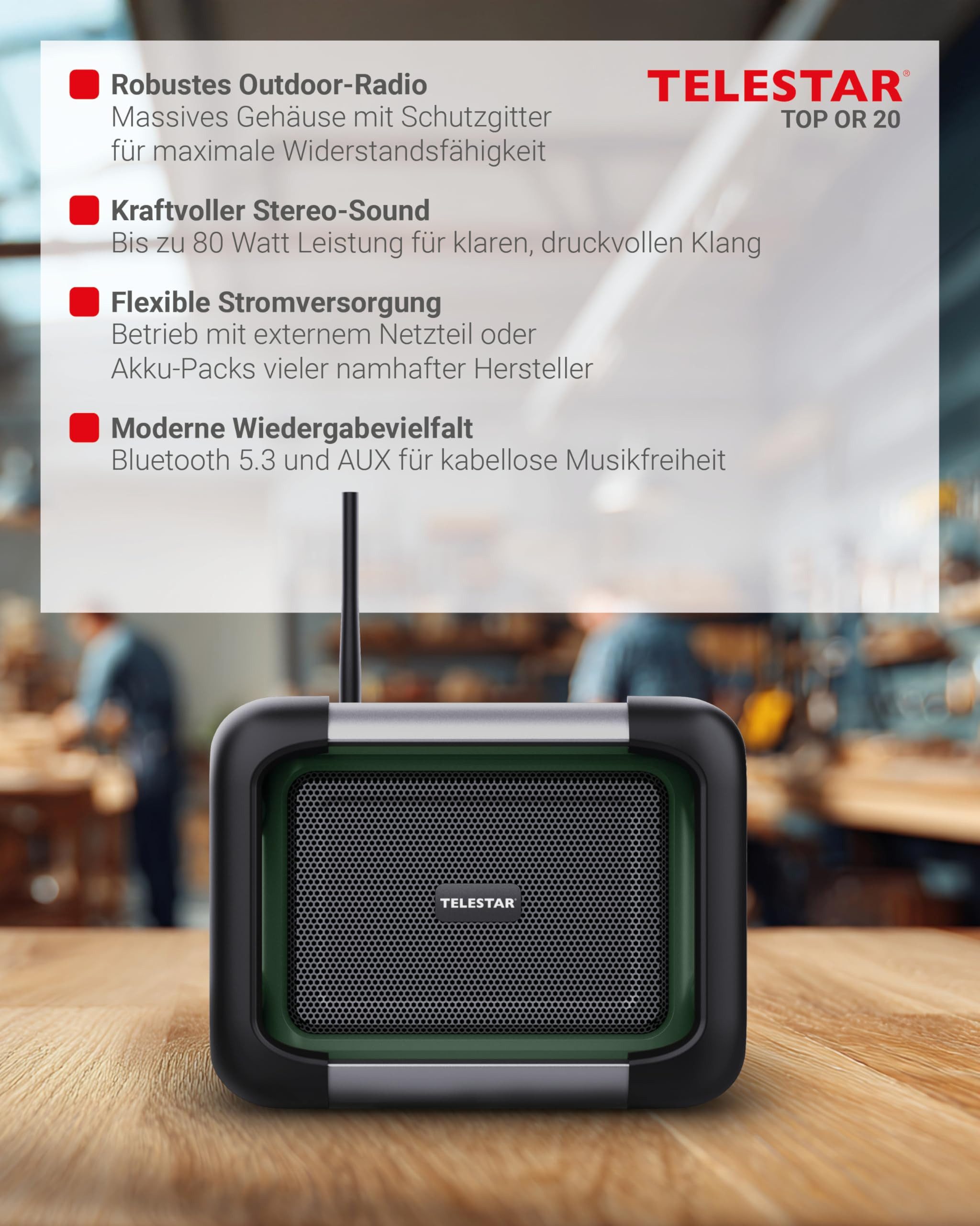 TELESTAR TOP OR 20 Radio (DAB+ Baustellenradio mit robustem Gehäuse)