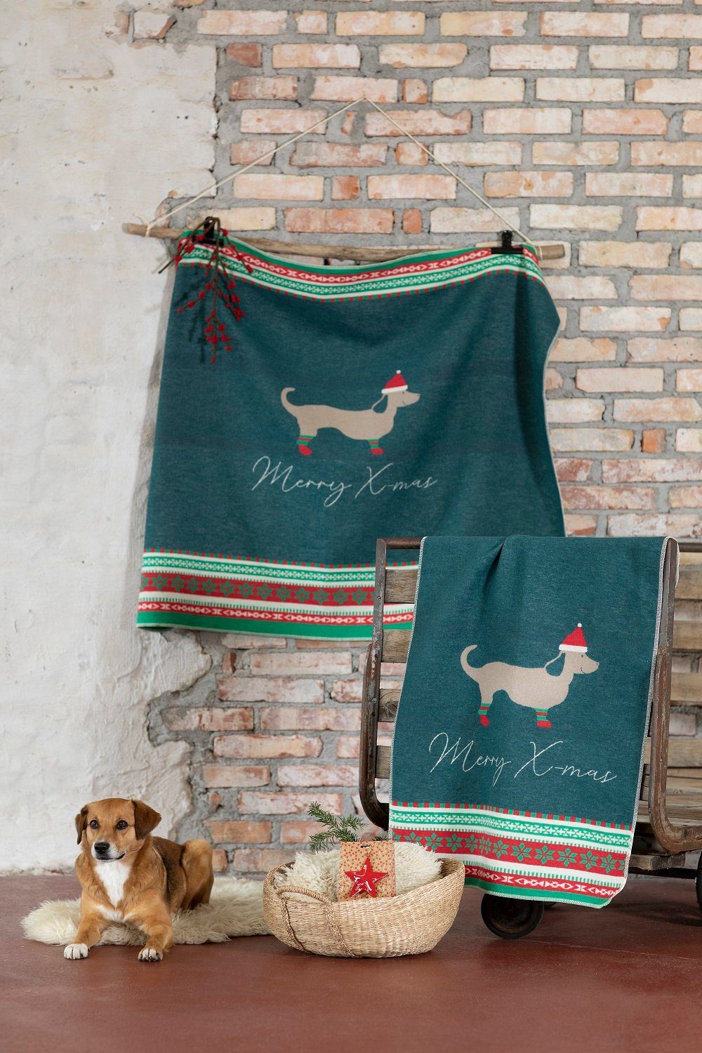 DAVID FUSSENEGGER Tierdecke Hundedecke 'Merry X-mas' günstig online kaufen