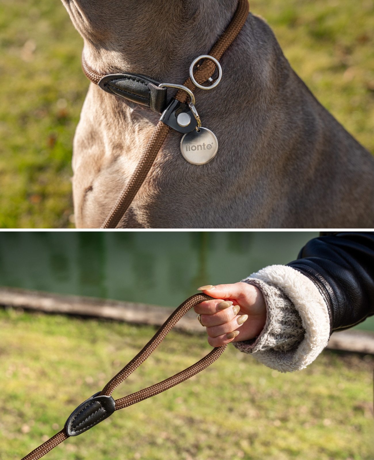 lionto Moxonleine mit Zugbegrenzung & Stopper 120 cm, Nylon, Lederimitat (1-tlg), Retrieverleine, sicher, stylisch & vegan
