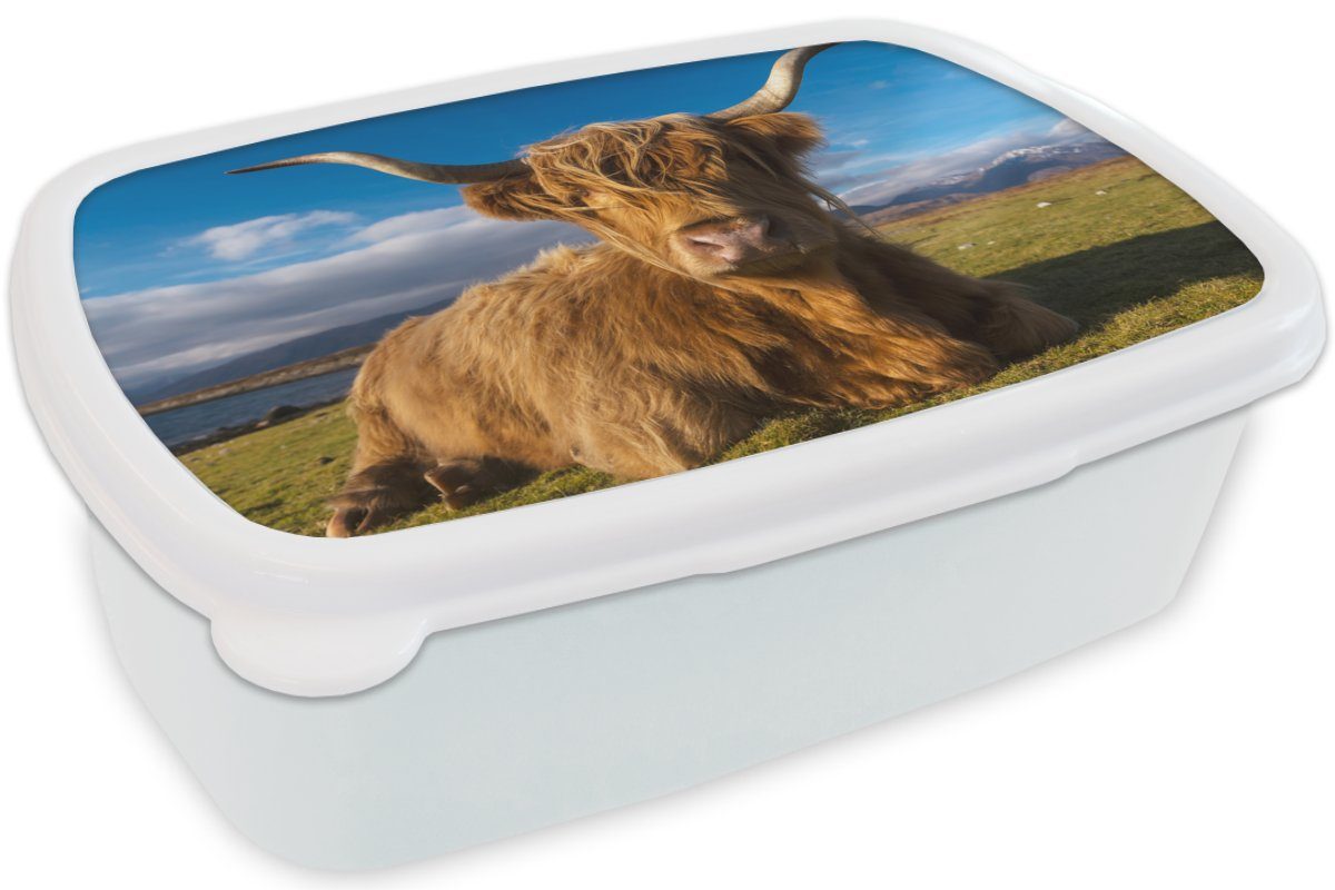 Highlander Tiere Schottische Mädchen - (2-tlg), - Lunchbox Gras, für Kunststoff, weiß Erwachsene, Brotbox Jungs Brotdose, MuchoWow und für Kinder und