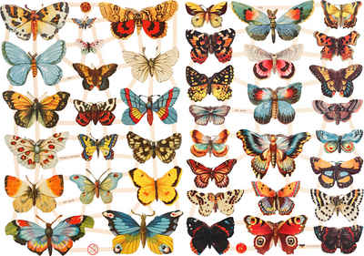 creativ company Motivpapier Schmetterlinge, 40 Motive, gestanz und geprägt