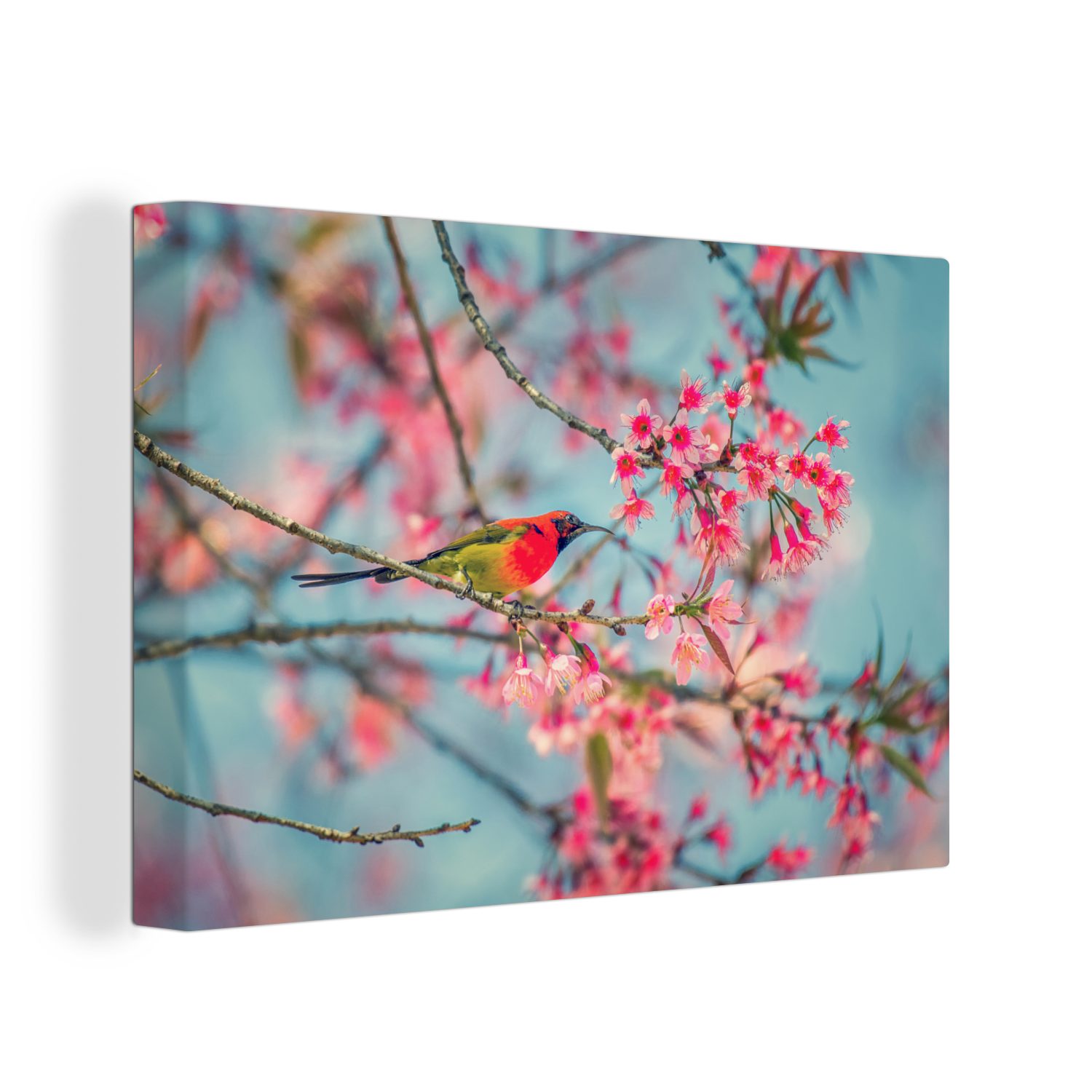 30x20 Wandbild - Vogel OneMillionCanvasses® cm Blüte Wanddeko, - Aufhängefertig, (1 Rosa, St), Leinwandbild Leinwandbilder,