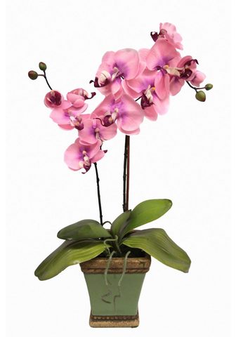 HOME AFFAIRE Искусственное растение »Orchidee...