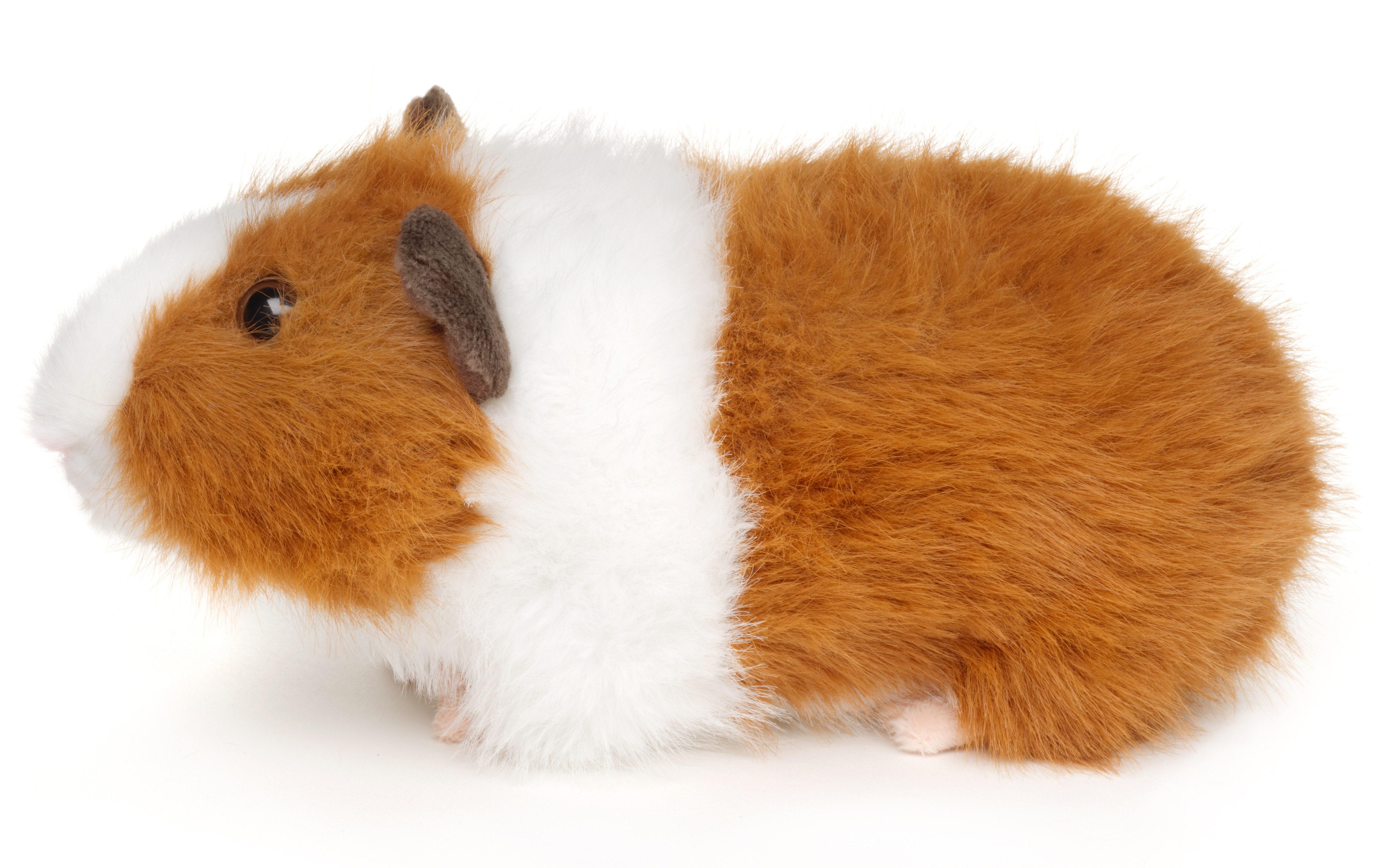 Uni-Toys Kuscheltier Meerschweinchen - verschiedene Farben - 21 cm (Länge) - Plüschtier, zu 100 % recyceltes Füllmaterial
