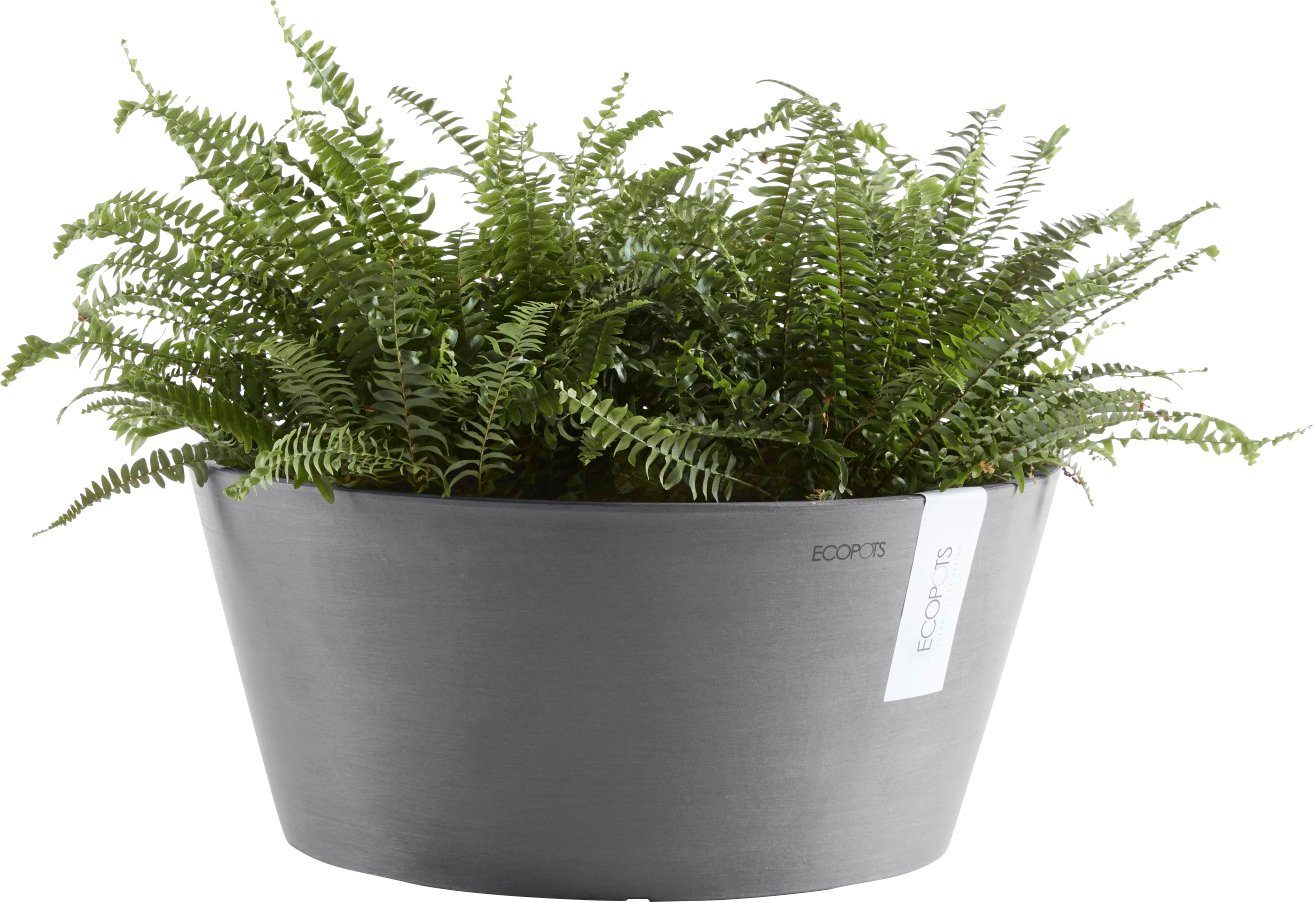 ECOPOTS Grey, 50x50x25 Blumentopf cm FRANKFURT BxTxH: