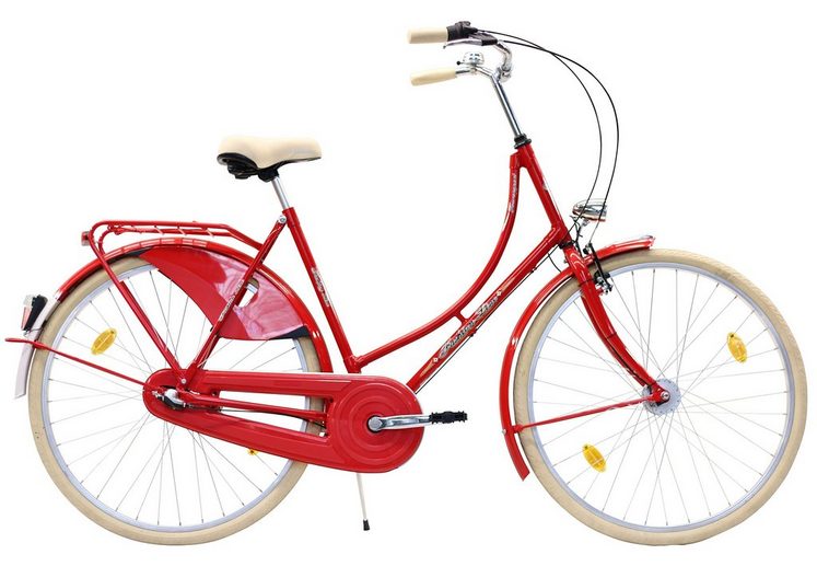 holland fahrrad welche größe bei 170 cm