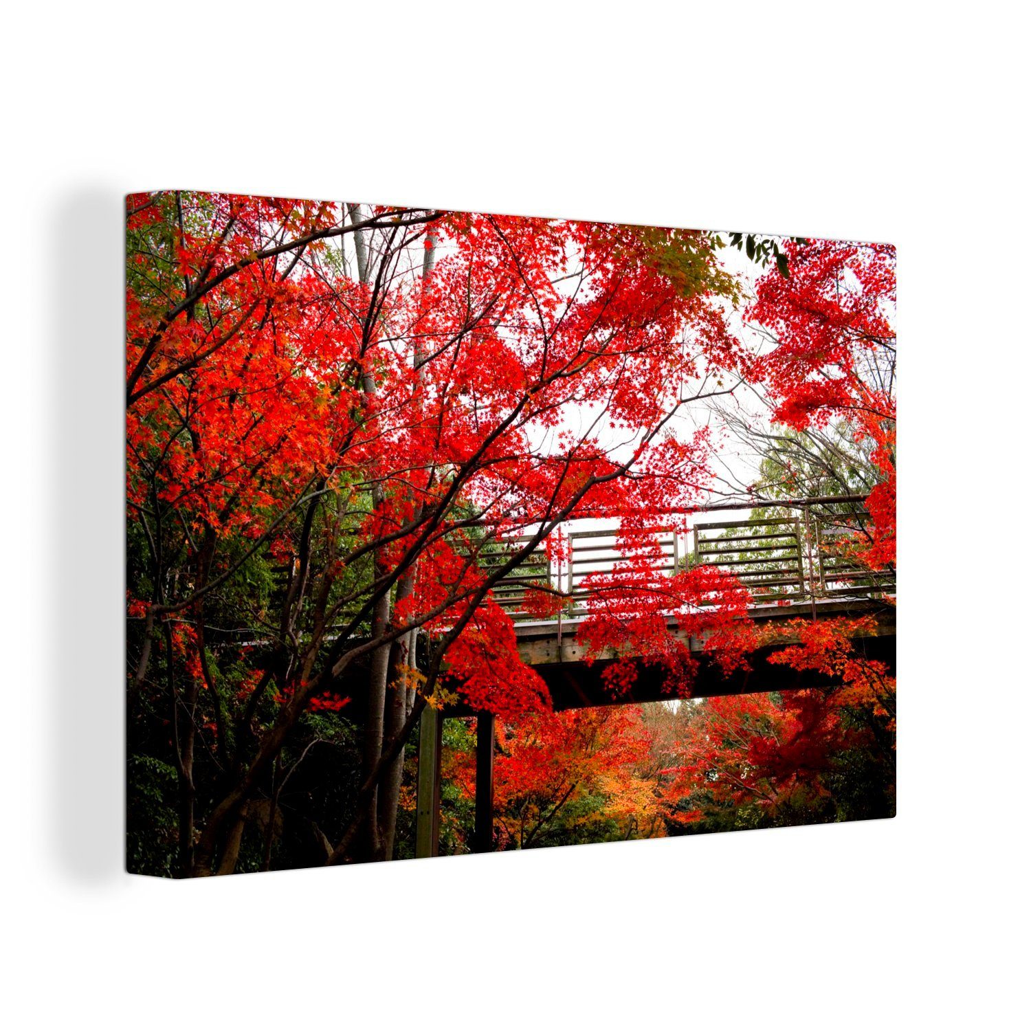 OneMillionCanvasses® Leinwandbild Brücke durch einen Park mit japanischen Ahornbäumen, (1 St), Wandbild Leinwandbilder, Aufhängefertig, Wanddeko, 30x20 cm