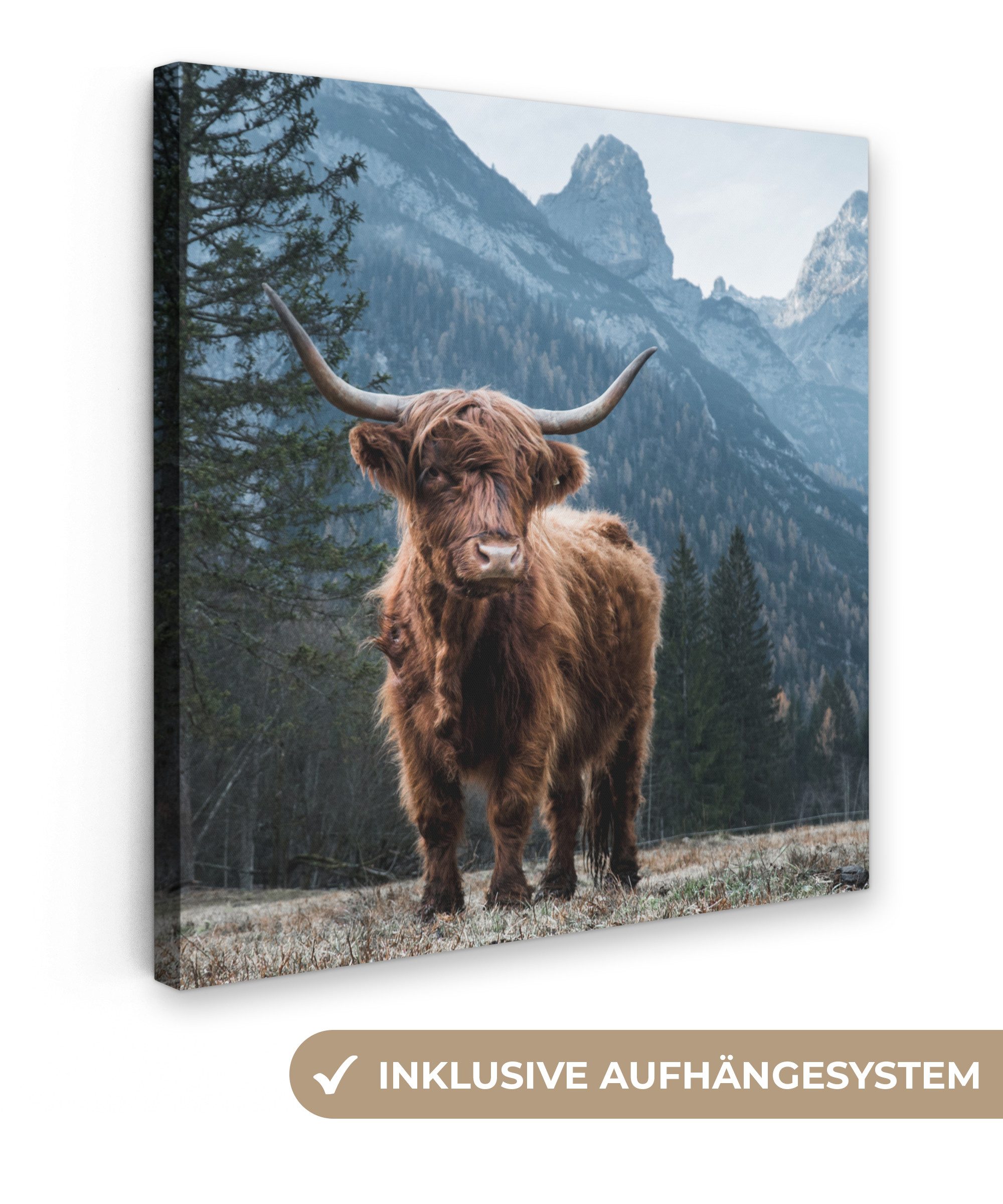 OneMillionCanvasses® Leinwandbild Schottische Highlander - Berg - Landschaf günstig online kaufen