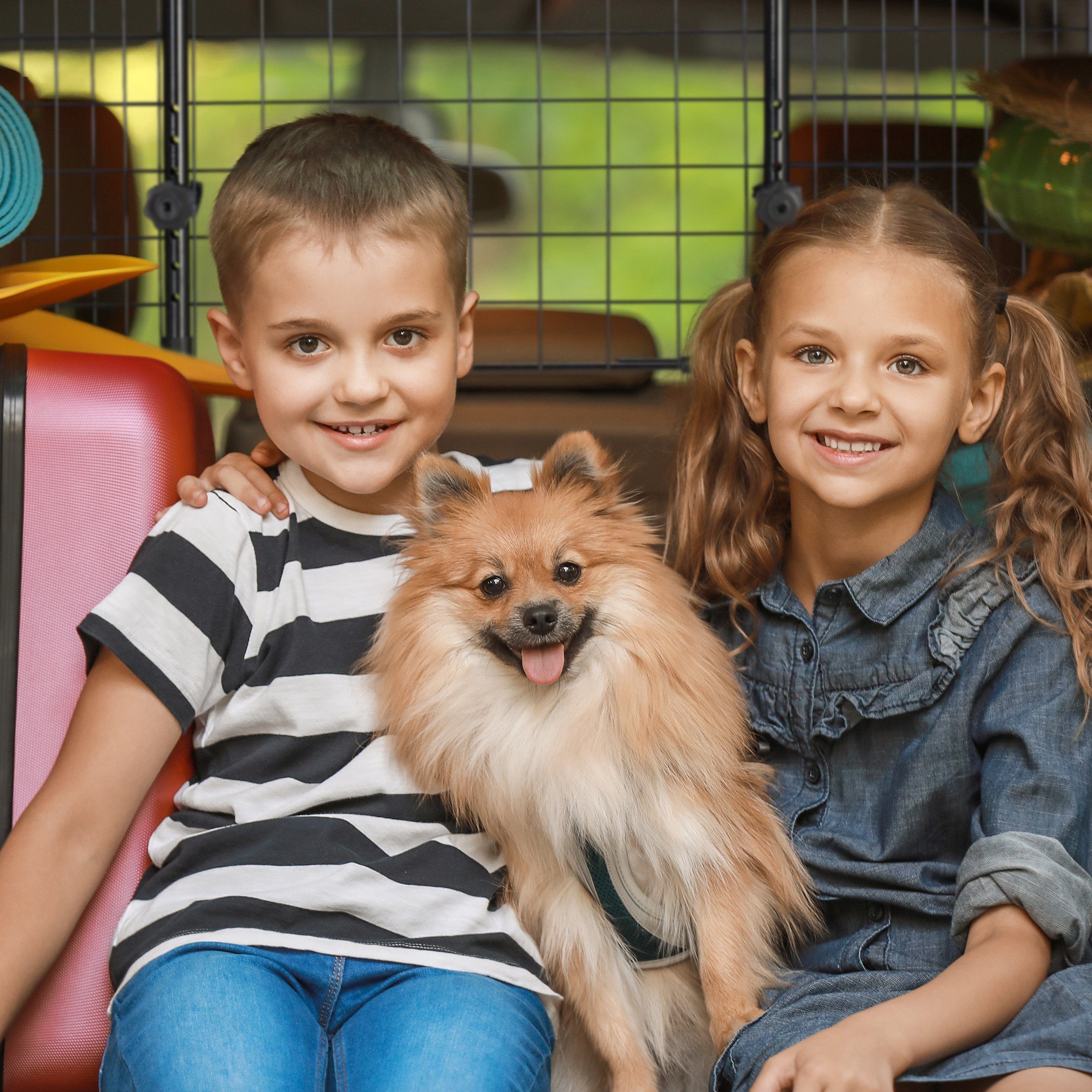 relaxdays Trenngitter Hundegitter Auto Universal groß – Bild 5 von 5