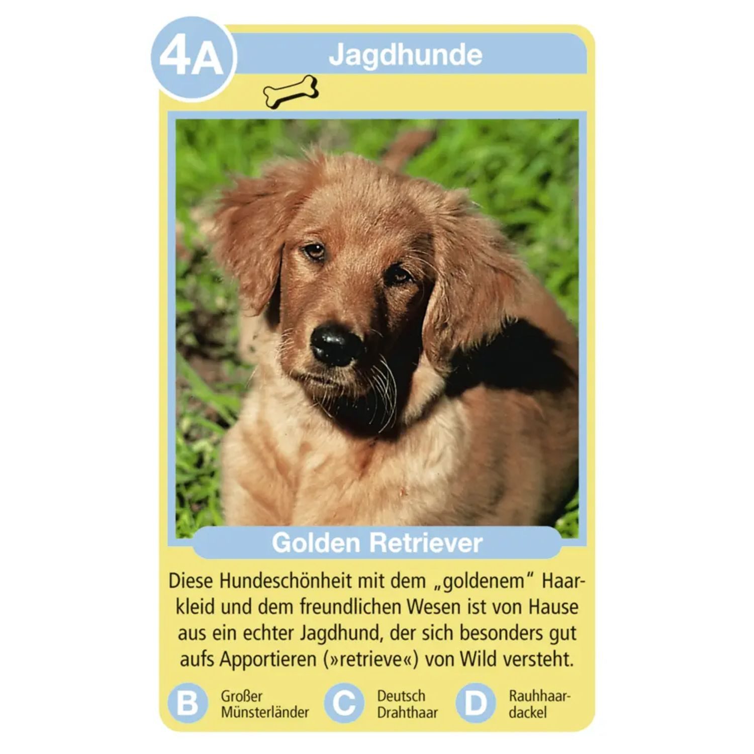 Ravensburger Spiel Tierquartett Hunde - Kartenspiel ab 4 Jahre
