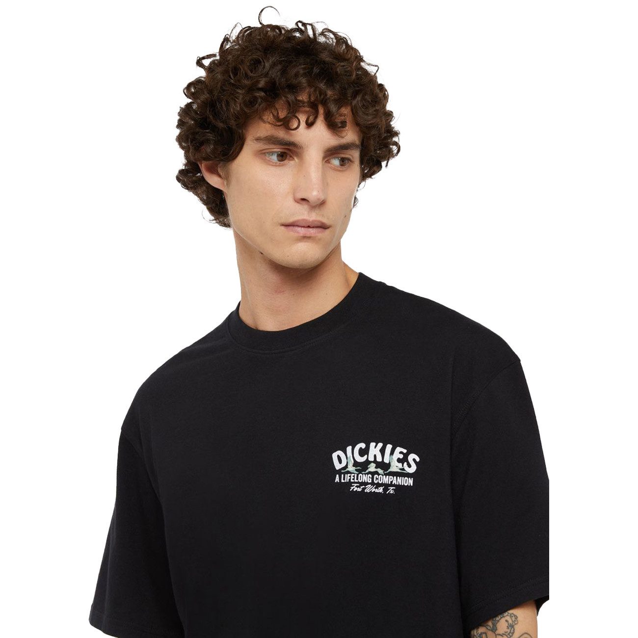 Dickies T-Shirt DICKIES COMPANION T DICKIES günstig online kaufen