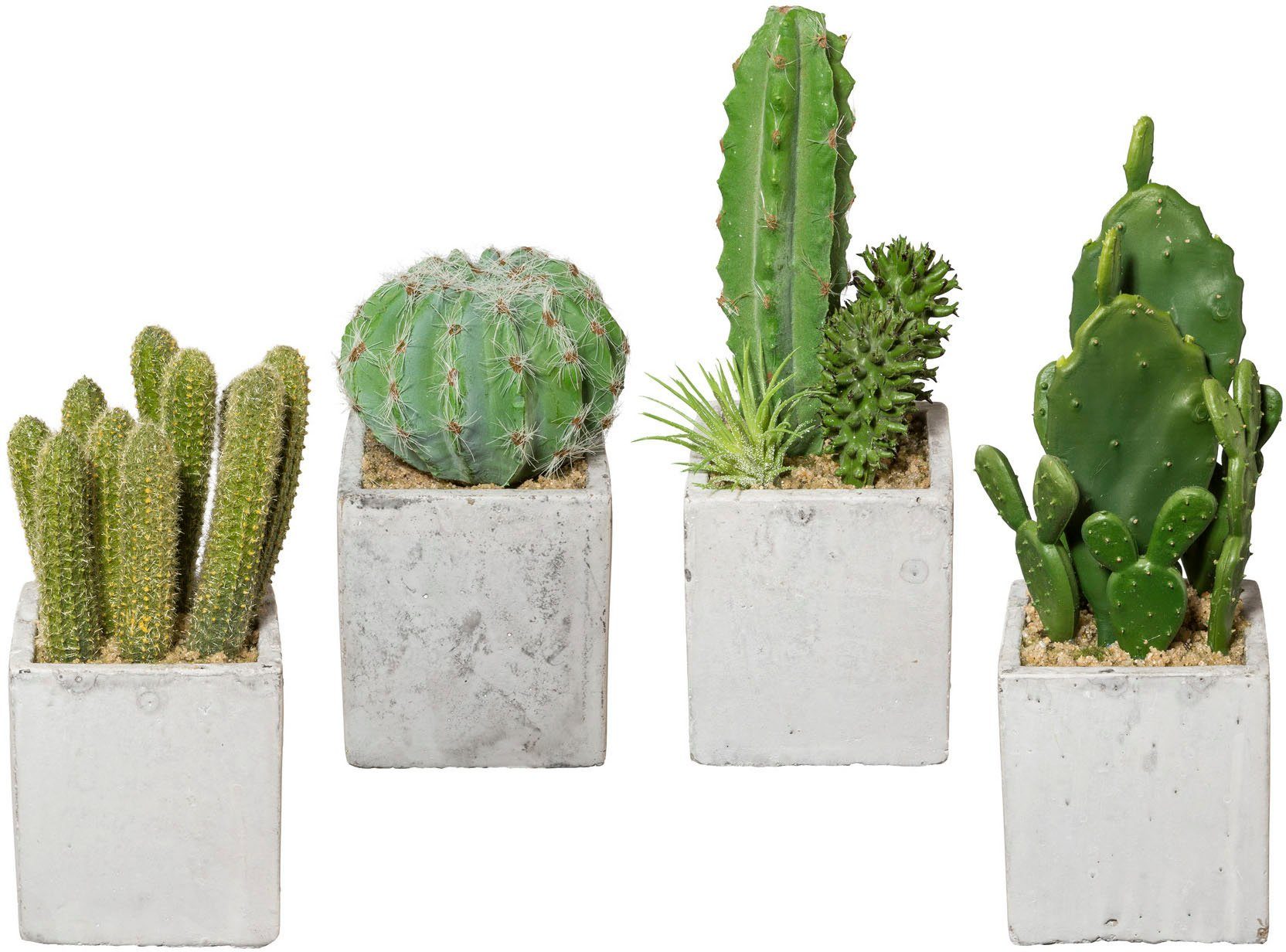 12 künstliche Kakteen im Keramik-Übertopf Blumen Kunstblumen Dekoblumen Kaktus 