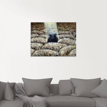 Artland Glasbild Schwarzes Schaf, Haustiere (1 St), in verschiedenen Größen
